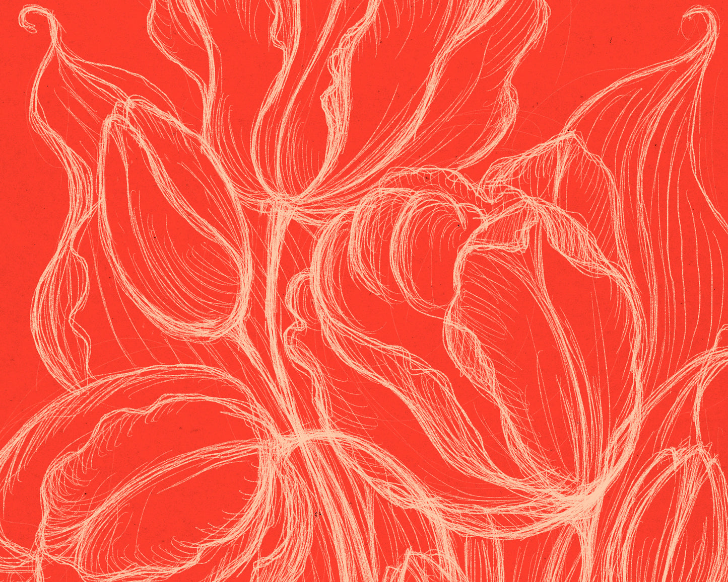 Spring trendy bright red wall art Hand drawn tulips flower sketch Line floral large botanical poster Printable neutral prints Bedroom kitchen living room dining roomdecor