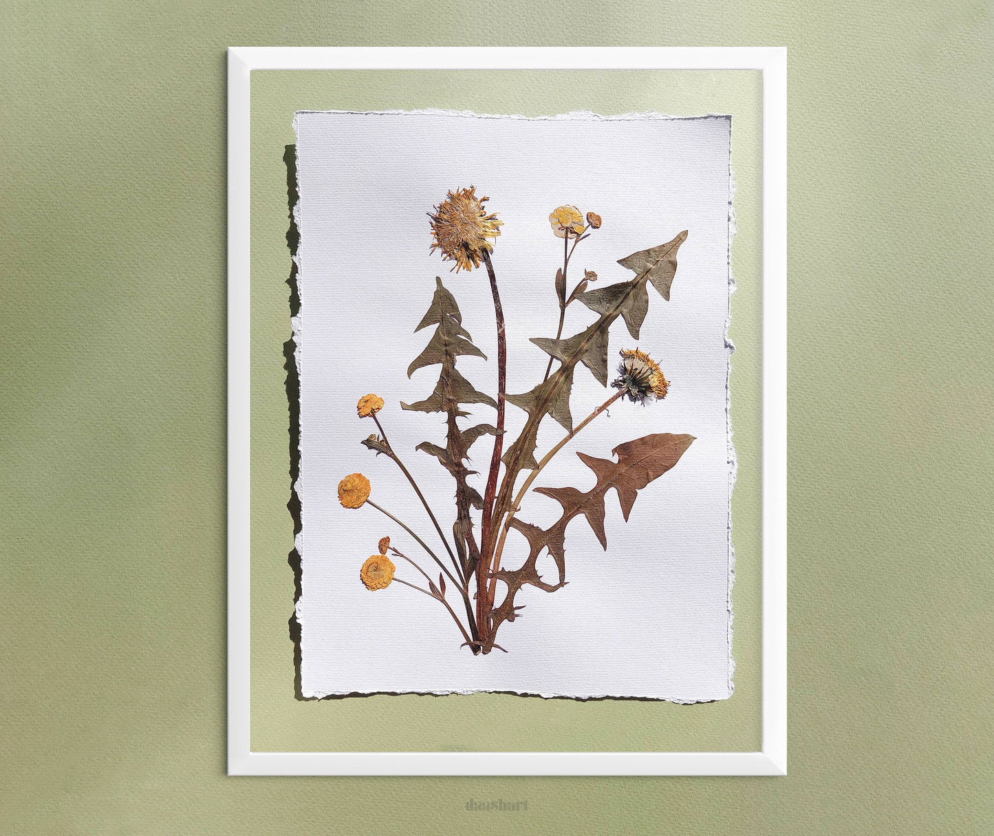 Yellow pressed flower and dandelion green plant artwork for nature lover gift UNFRAMED for living room or bedroom wall art