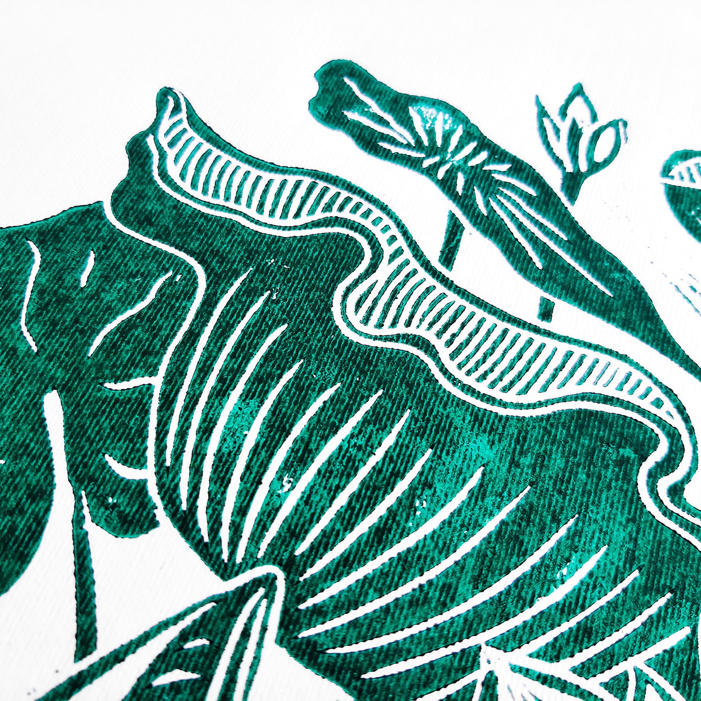 Green lotus flower Linocut print Wall hanging art decor for Nature lover gift new grandma gift, new apartment housewarming gift, new apartment gift, nature wall art, Nature original art, nature lover gift, mothers day gift ideas, mothers day gift from daughter, mothers day gift, mother in law gift, mom birthday gift, Modern kitchen art, long distance gift, living room wall art minimalist, Living room wall art, laundry room decor, kitchen wall art, Housewarming gift, hostess gift, home gift unique