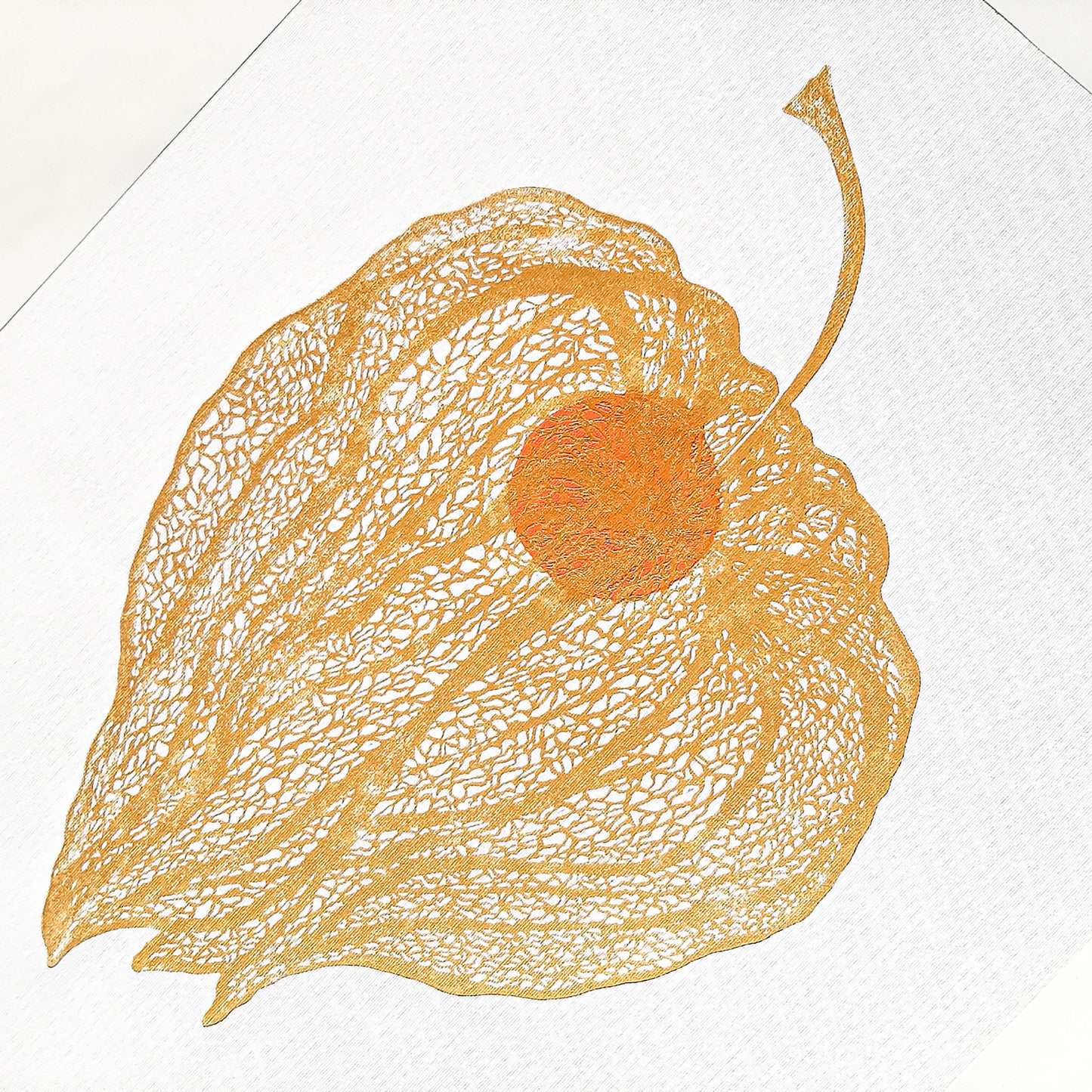Gold physalis plant and Orange berry Linocut print lino print, linogravure. printmaking, relief print, block print wall hanging, unique wall art, trendy wall art, thank you gift boss, teacher appreciation gift, autumn wall art, sister in law gift, shelf decor, self gift, rustic wall art, retirement gift, realtor closing gift, Plant print, plant lover gift, original artwork, one of a kind, nurse gift, niece gift from aunt, new mom gift, new job gift, New home gift, new grandma gift, new apartment housewarmi