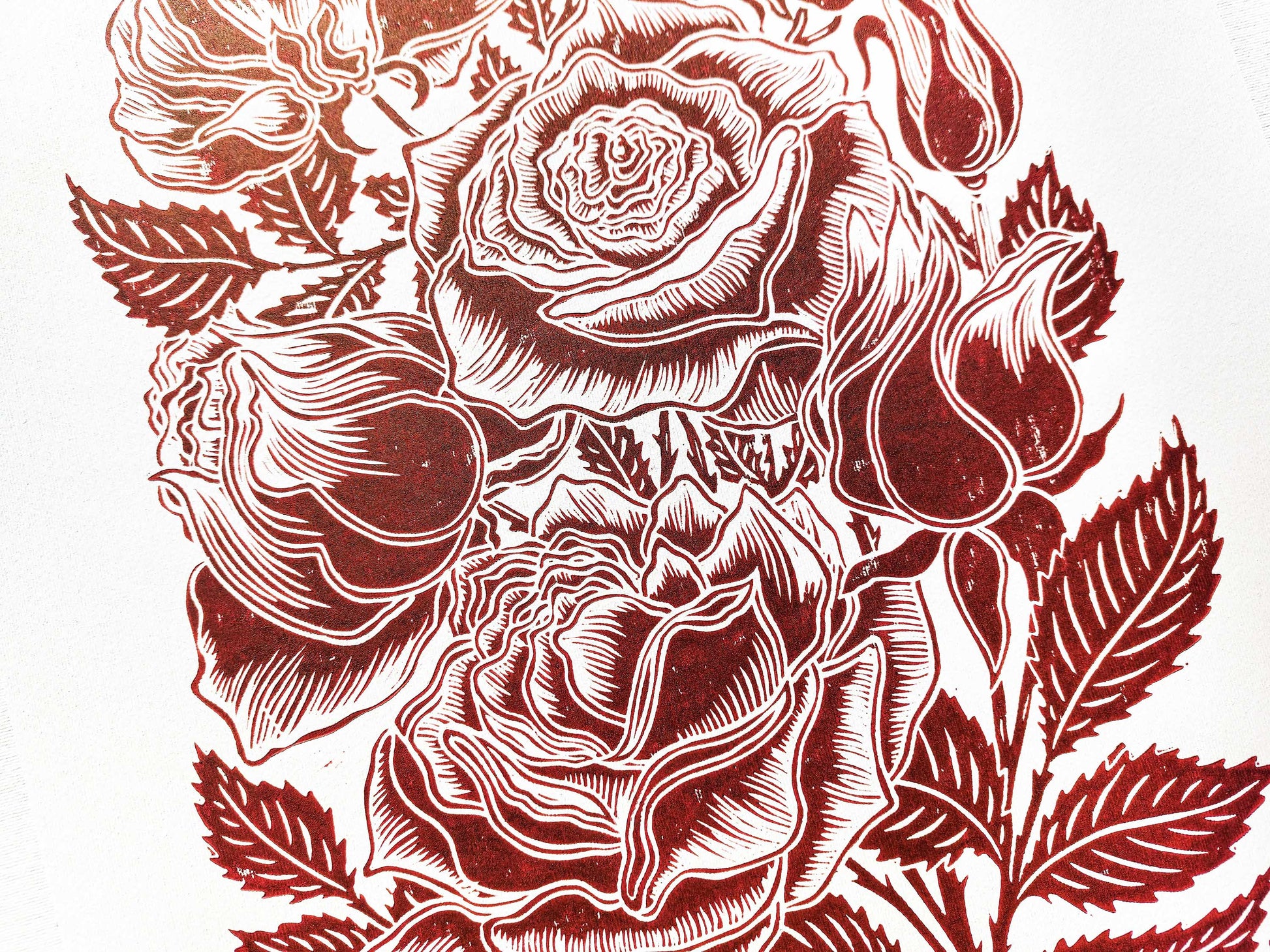 Burgundy roses flower Linocut print for Nature lover gift UNFRAMED