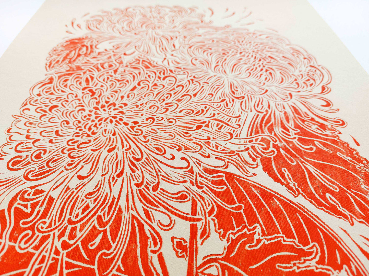 Details red japanese chrysanthemum flower Linocut print / printmakink / relief print / lino print / linogravure