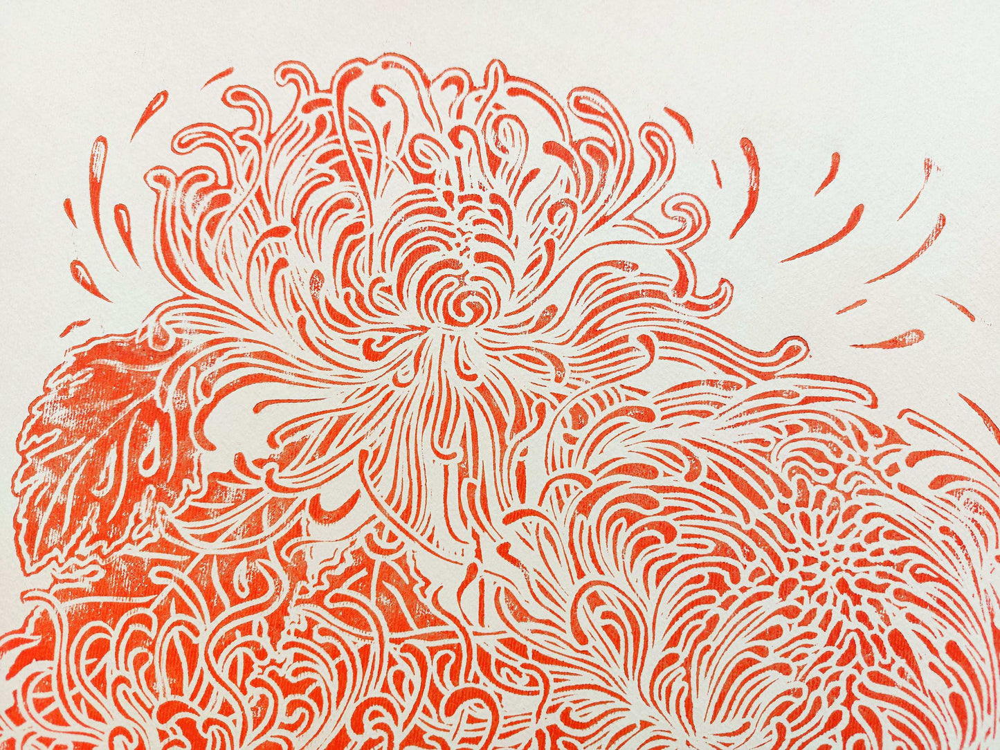 Details red japanese chrysanthemum flower Linocut print / printmakink / relief print / lino print / linogravure