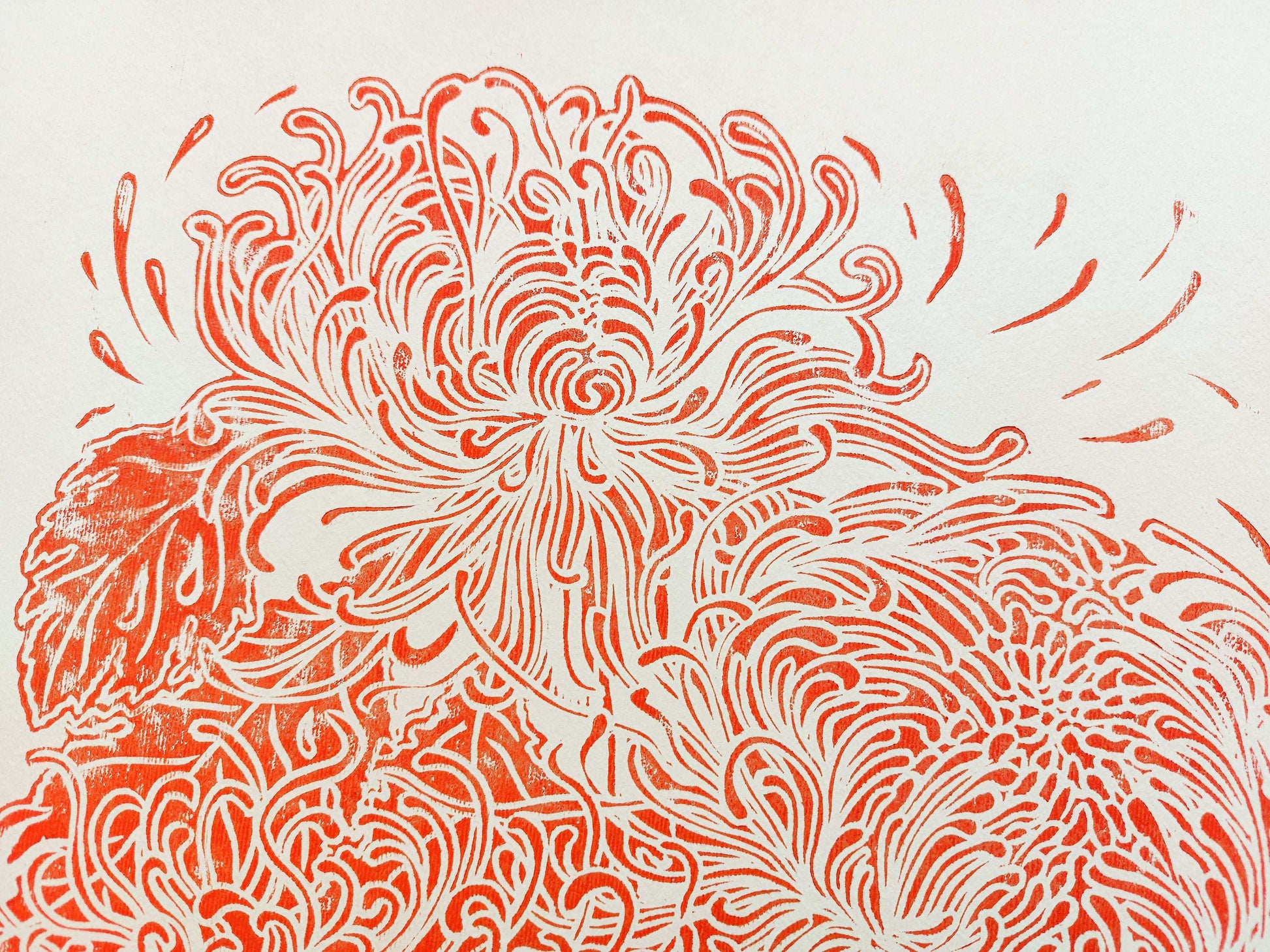 Details red japanese chrysanthemum flower Linocut print / printmakink / relief print / lino print / linogravure