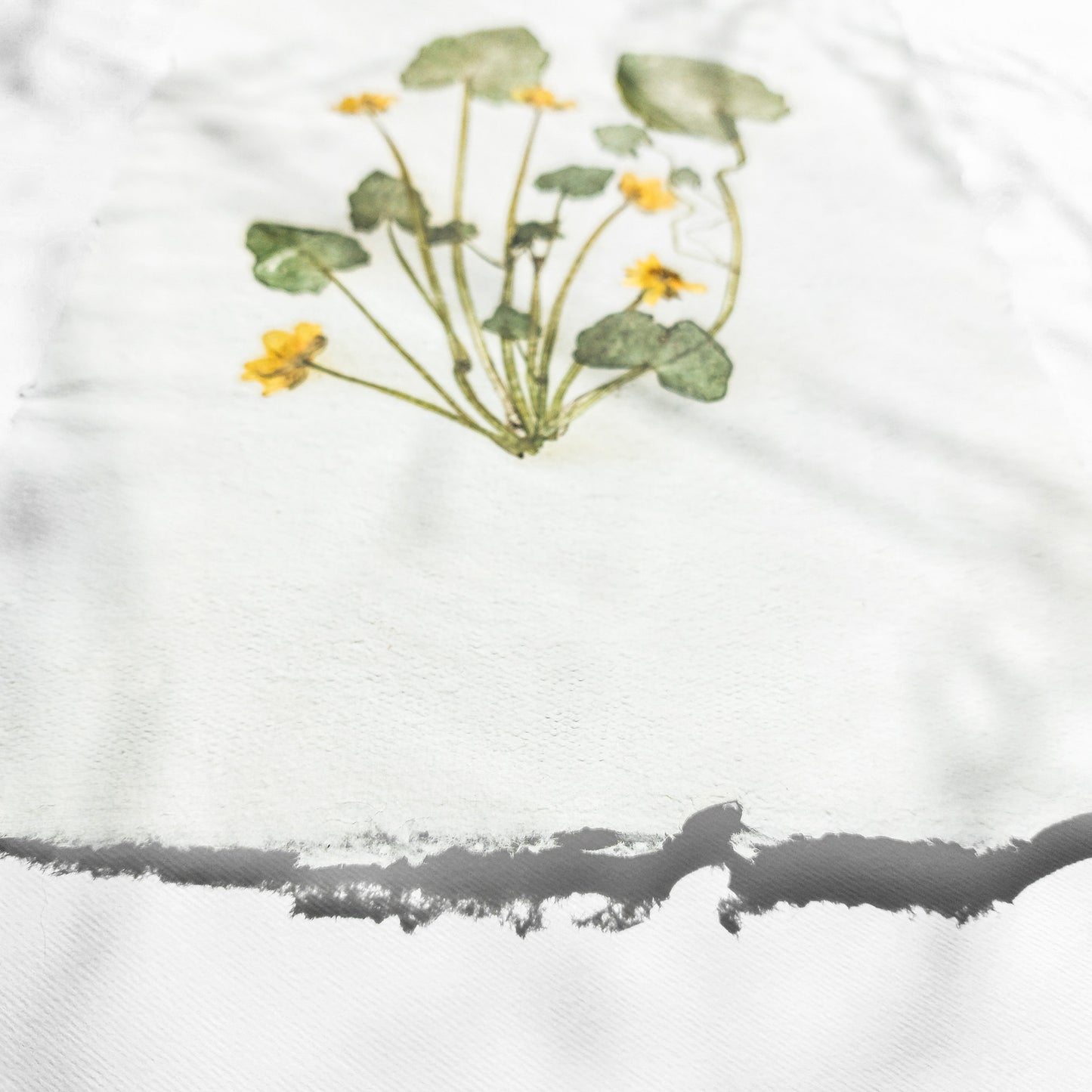 "Ficaria verna" Herbarium Yellow and green dried flower Original artwork Recycled paper UNFRAMED Pressed flowers One of a kind Bedroom Living room Farmhouse kitchen Cottagecore wall art Foraged Vintage Retro home decor Housewife Mother Gift Nature Plant lover gift