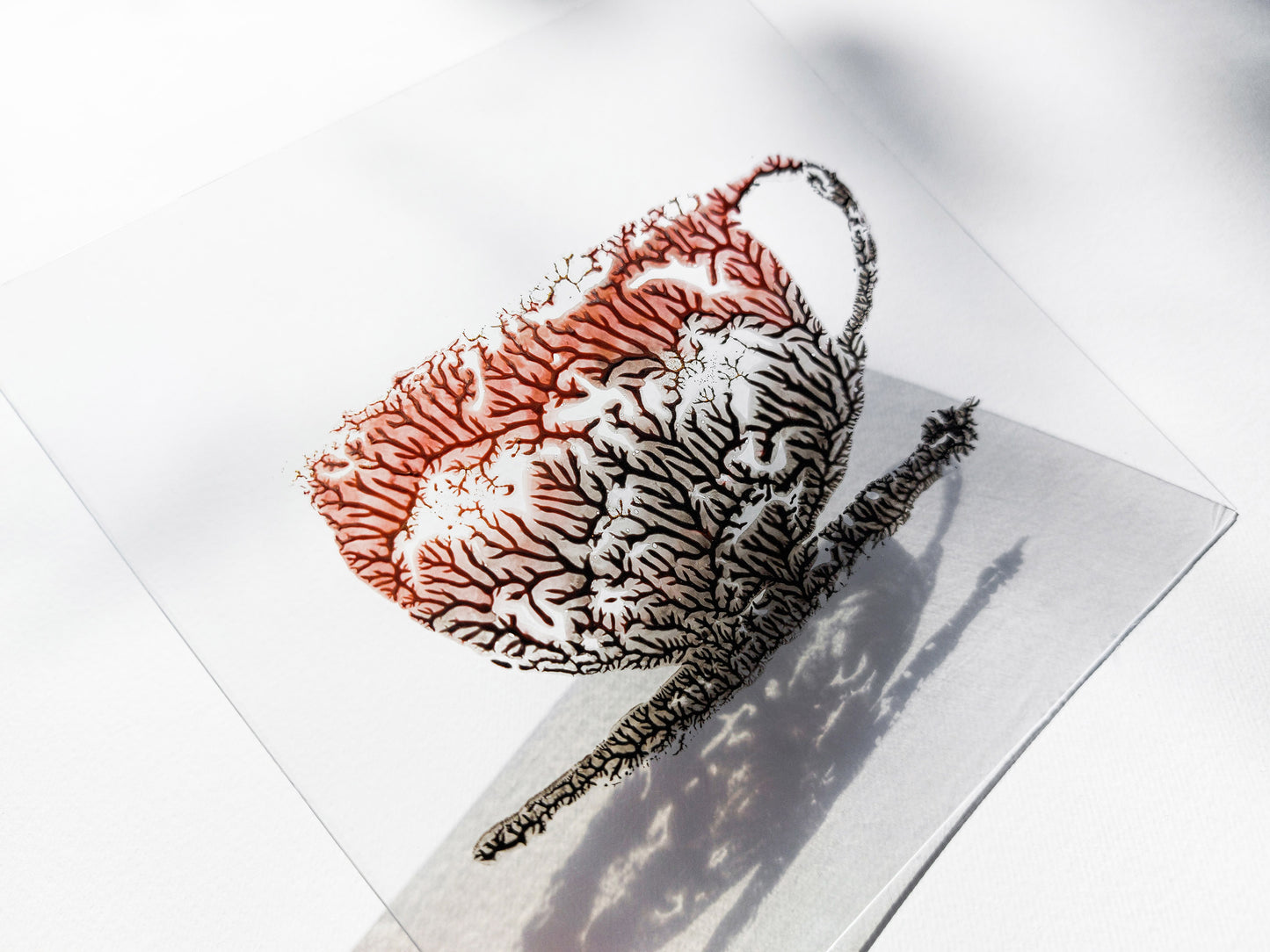 Details Terracotta black and white relief Plexiglass gallery wall set of 3 abstract coffee Monotype print / printmaking