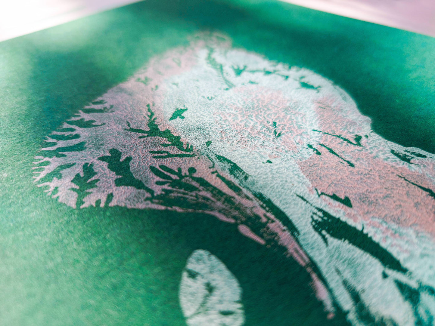 Details relief Emerald green Pink and white abstract moth Monotype print /printmaking