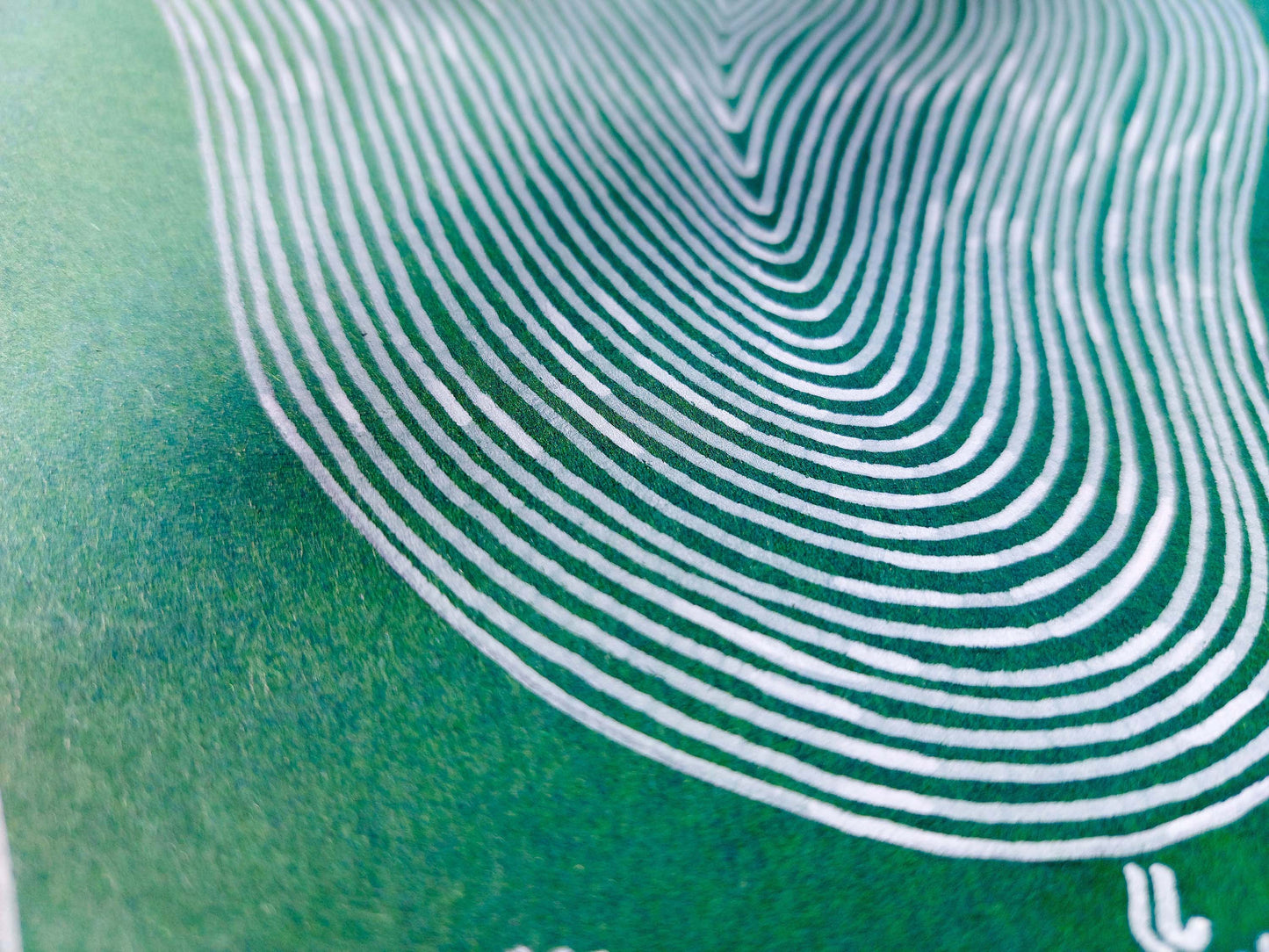 Details Emerald green Abstract flower line drawing shapes artwork