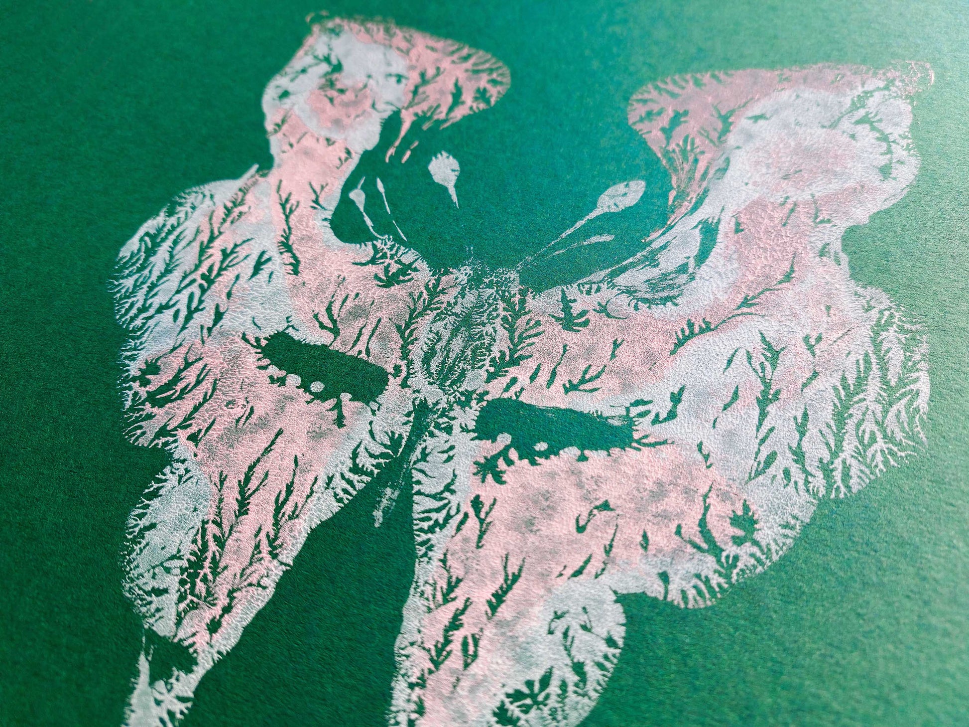 Details relief Emerald green Pink and white abstract moth Monotype print /printmaking