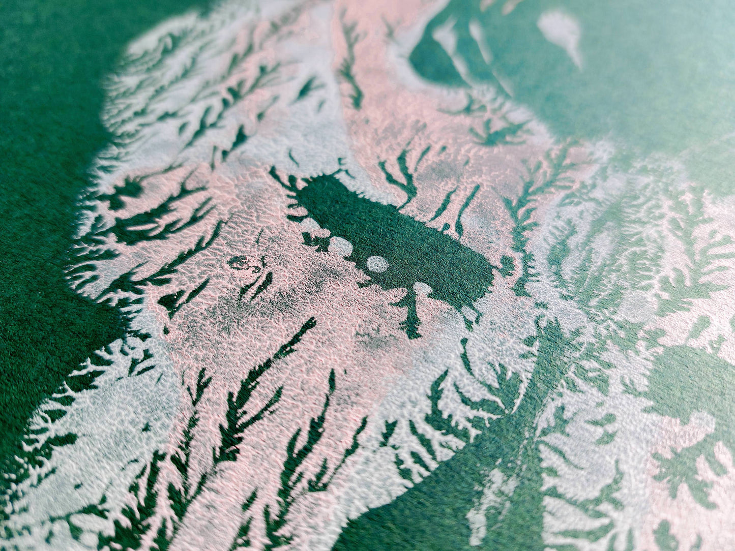 Details relief Emerald green Pink and white abstract moth Monotype print /printmaking