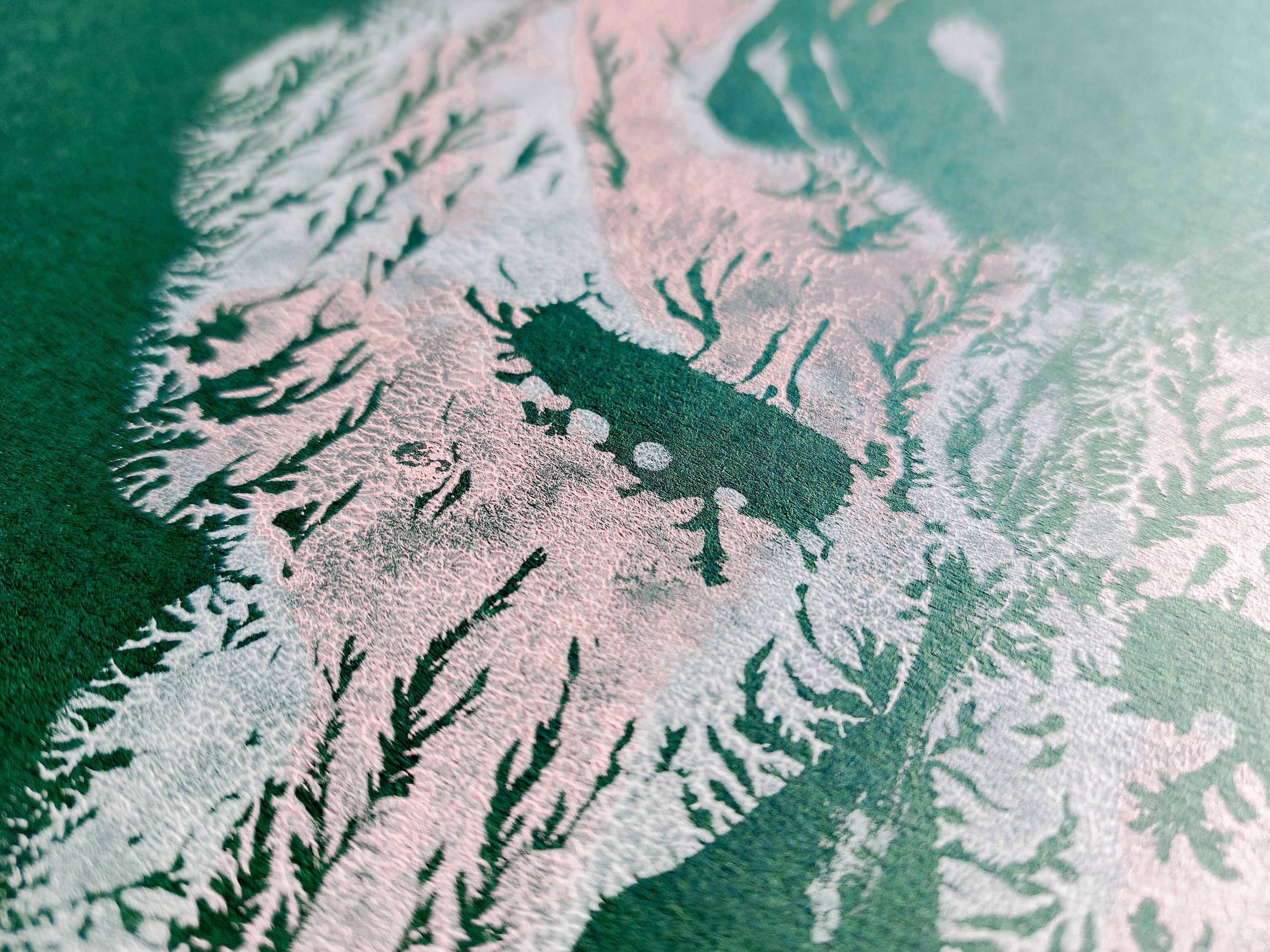Details relief Emerald green Pink and white abstract moth Monotype print /printmaking