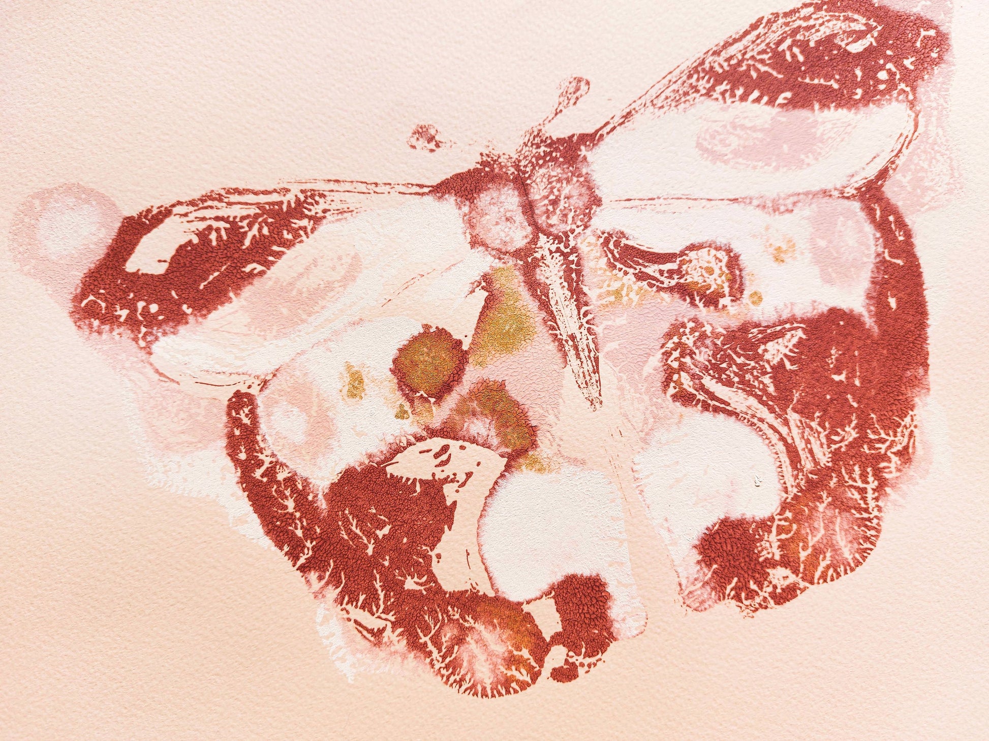 №2 - Pink and terracotta abstract butterfly Monotype print for Nature lover gift UNFRAMED for living room, or bedroom original artwork