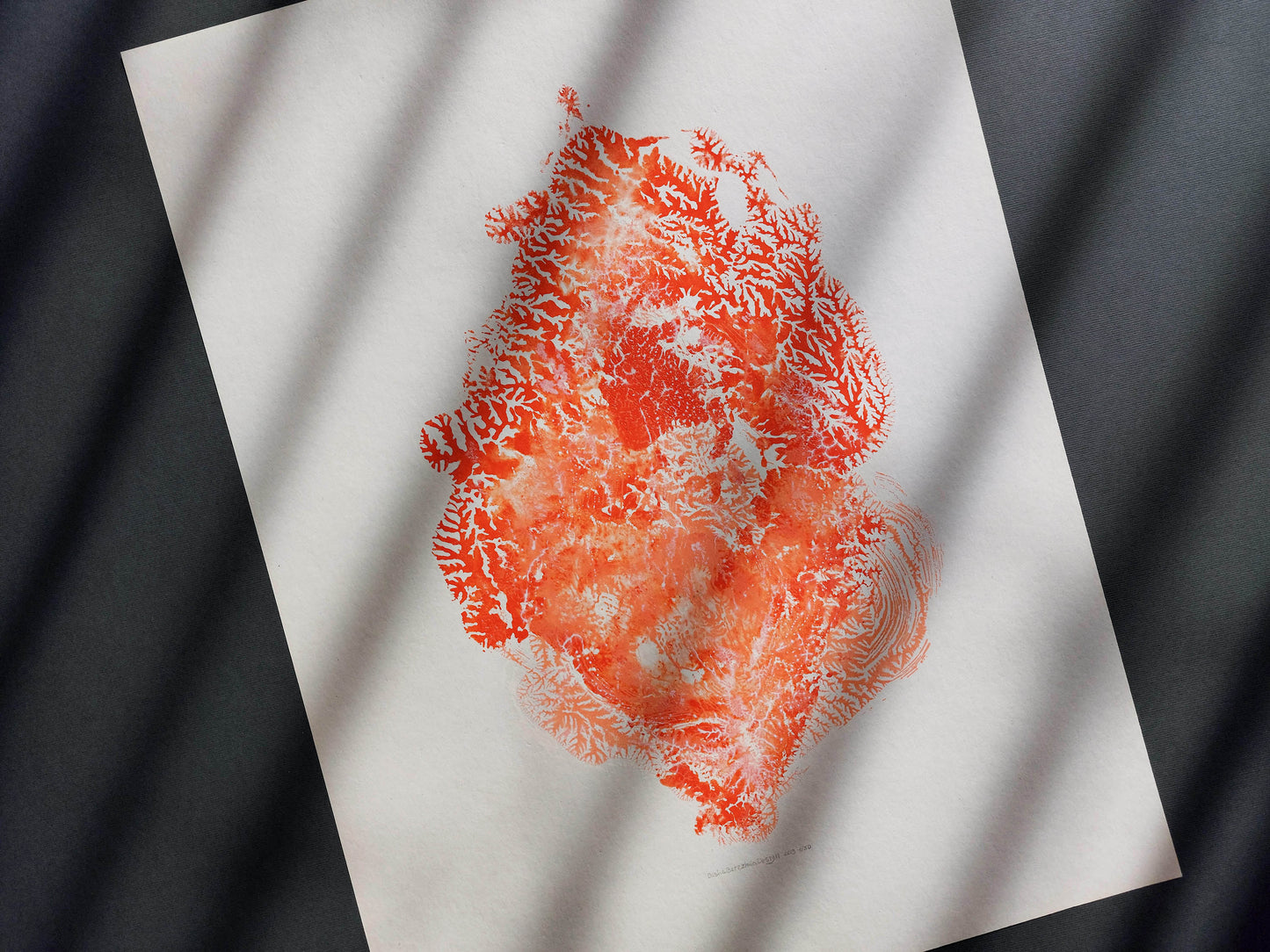 Red sea fan coral abstract relief Monotype print №7 for New home gift UNFRAMED modern Living room or bedroom decor Original artwork nautical wall decor