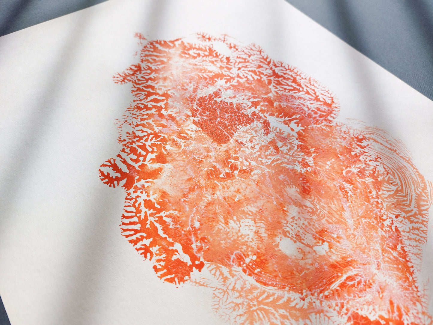 Details Red sea fan coral abstract relief Monotype print №7 / printmaking