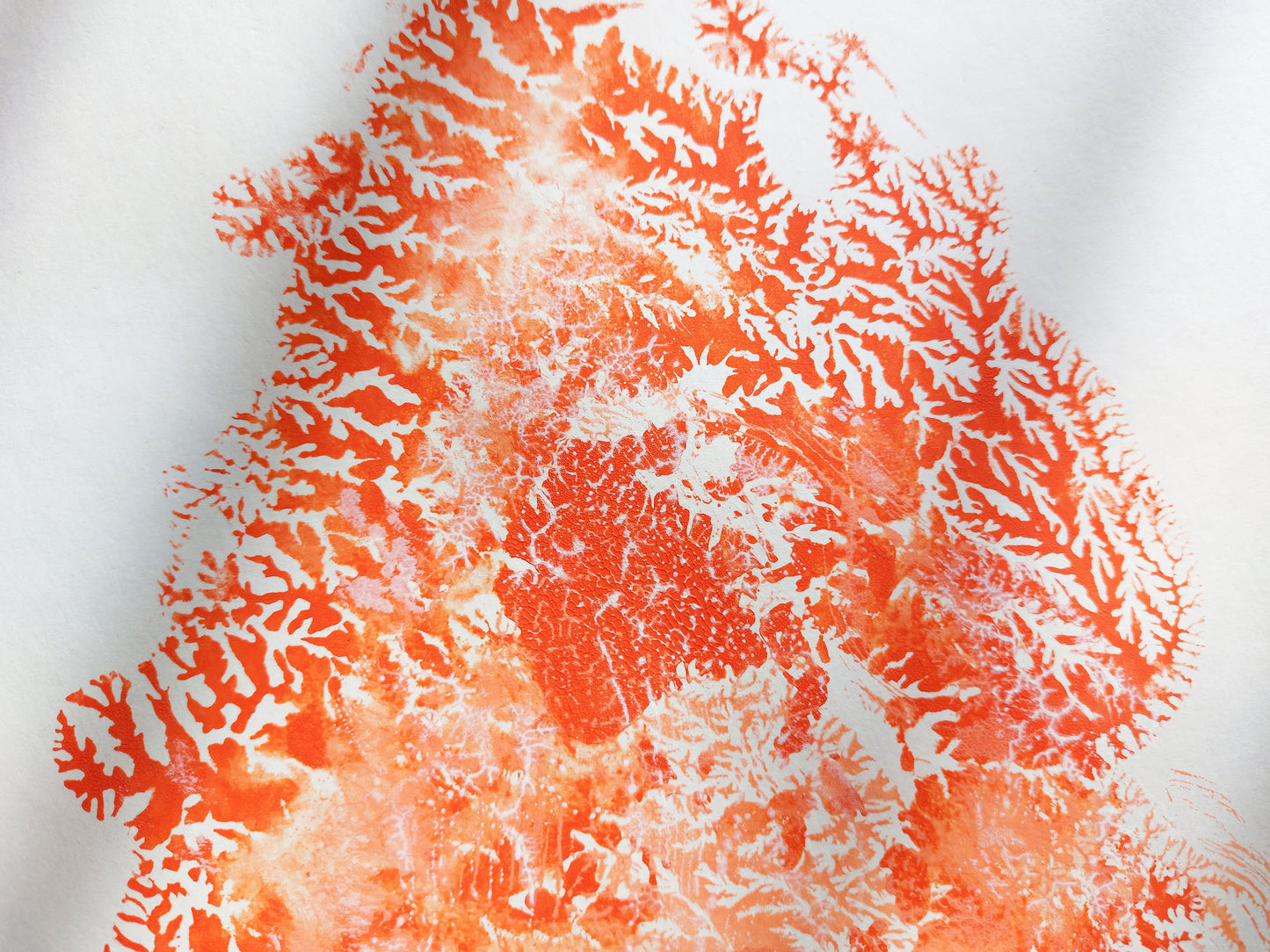 Details Red sea fan coral abstract relief Monotype print №7 / printmaking