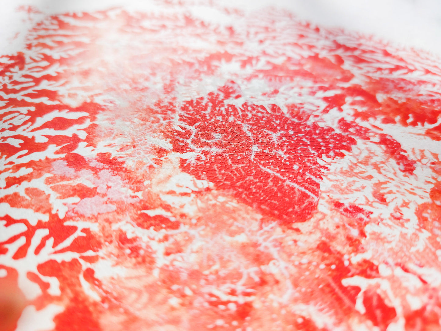 Details Red sea fan coral abstract relief Monotype print №7 / printmaking