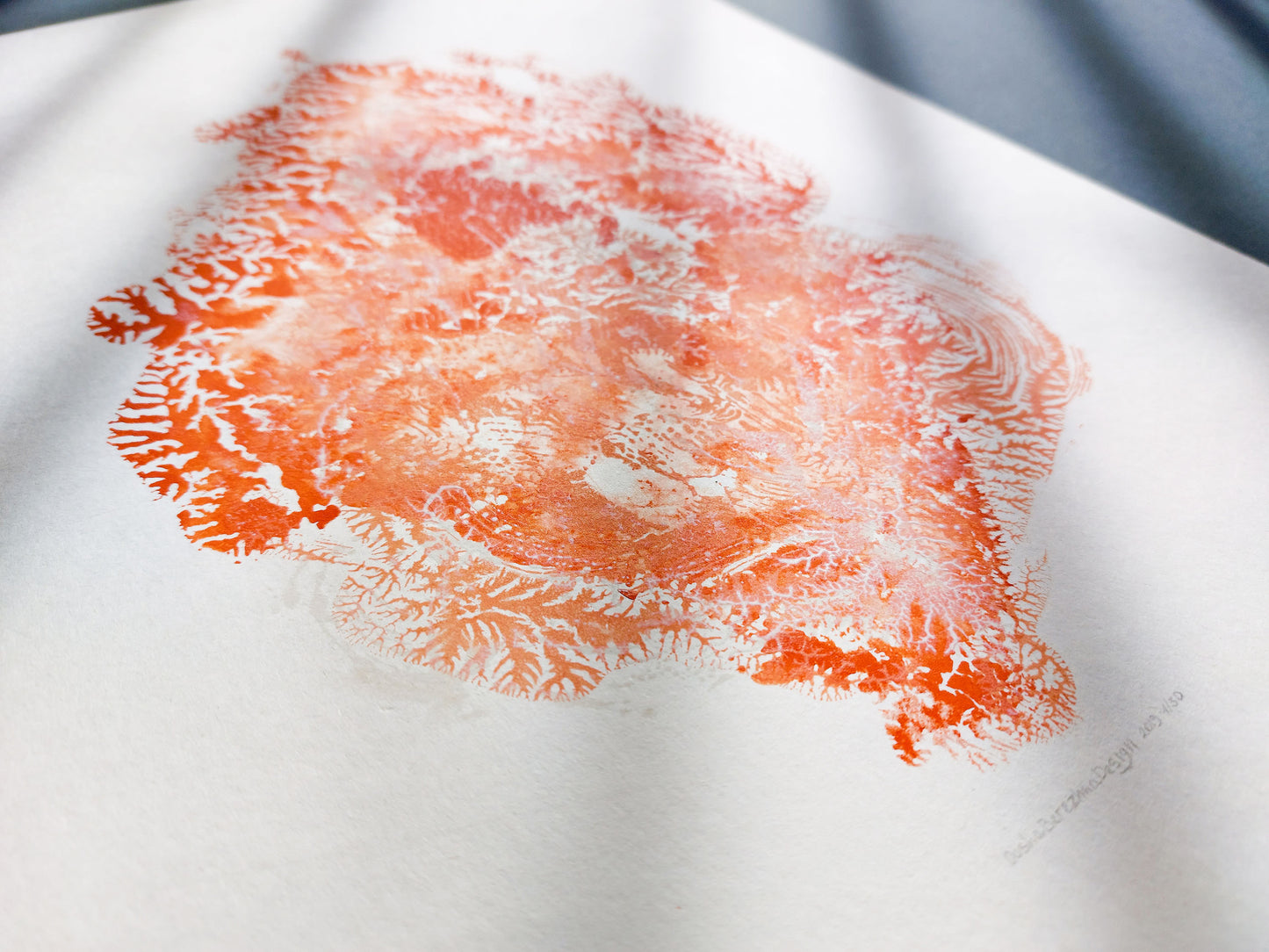 Red sea fan coral abstract relief Monotype print №7 for New home gift UNFRAMED modern Living room or bedroom decor Original artwork nautical wall decor