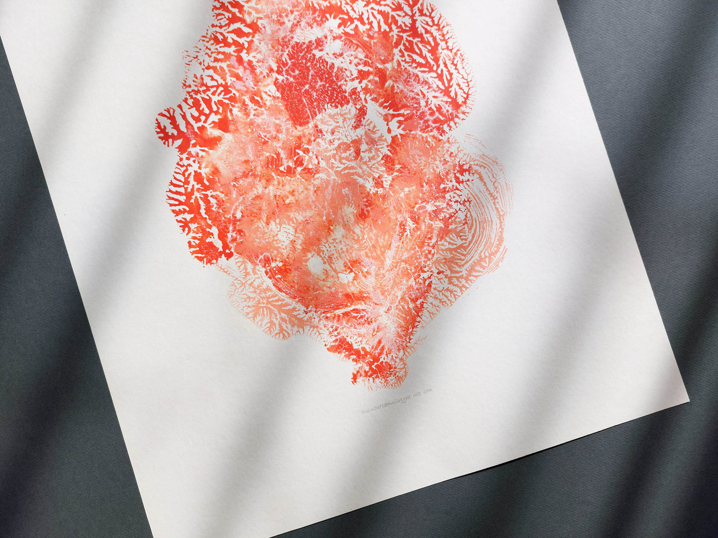 Red sea fan coral abstract relief Monotype print №7 for New home gift UNFRAMED modern Living room or bedroom decor Original artwork nautical wall decor
