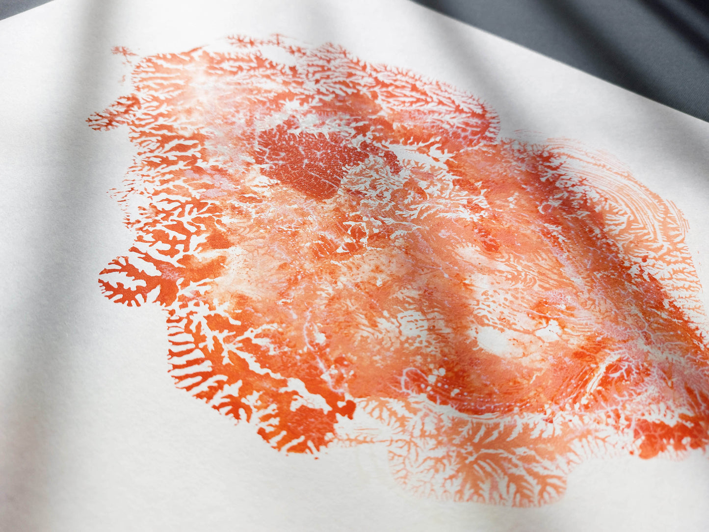 Details Red sea fan coral abstract relief Monotype print №7 / printmaking
