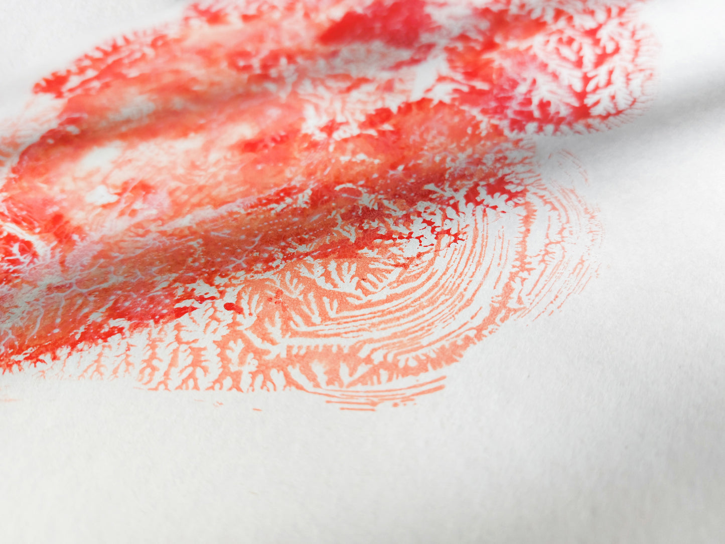 Details Red sea fan coral abstract relief Monotype print №7 / printmaking
