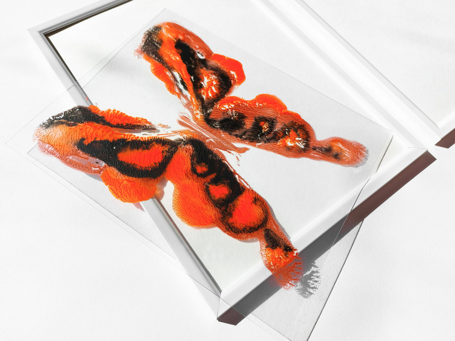 №11 - Red and black abstract moth Monotype print for Nature lover gift UNFRAMED for living room, or bedroom original artwork