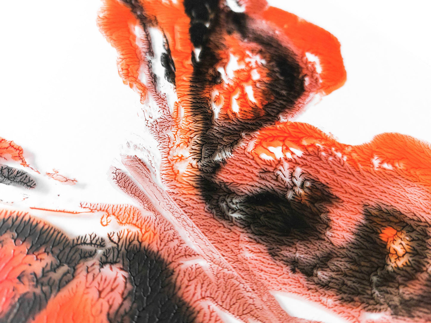 Details relief Red and black abstract moth Monotype print / printmaking
