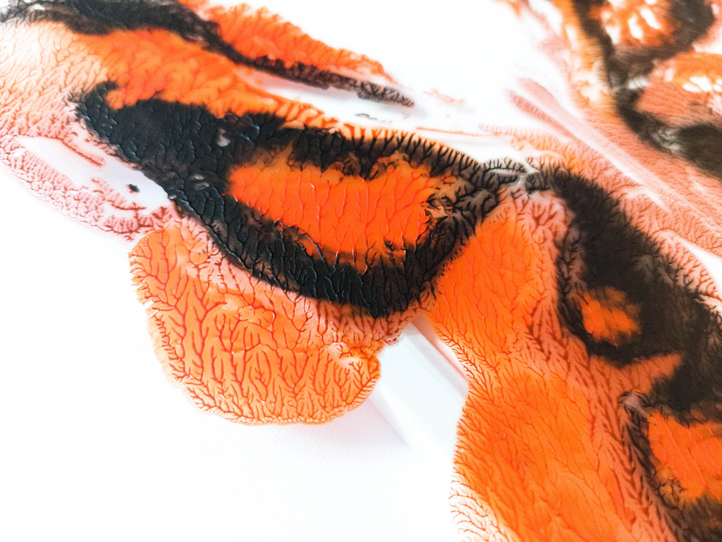 Details relief Red and black abstract moth Monotype print / printmaking