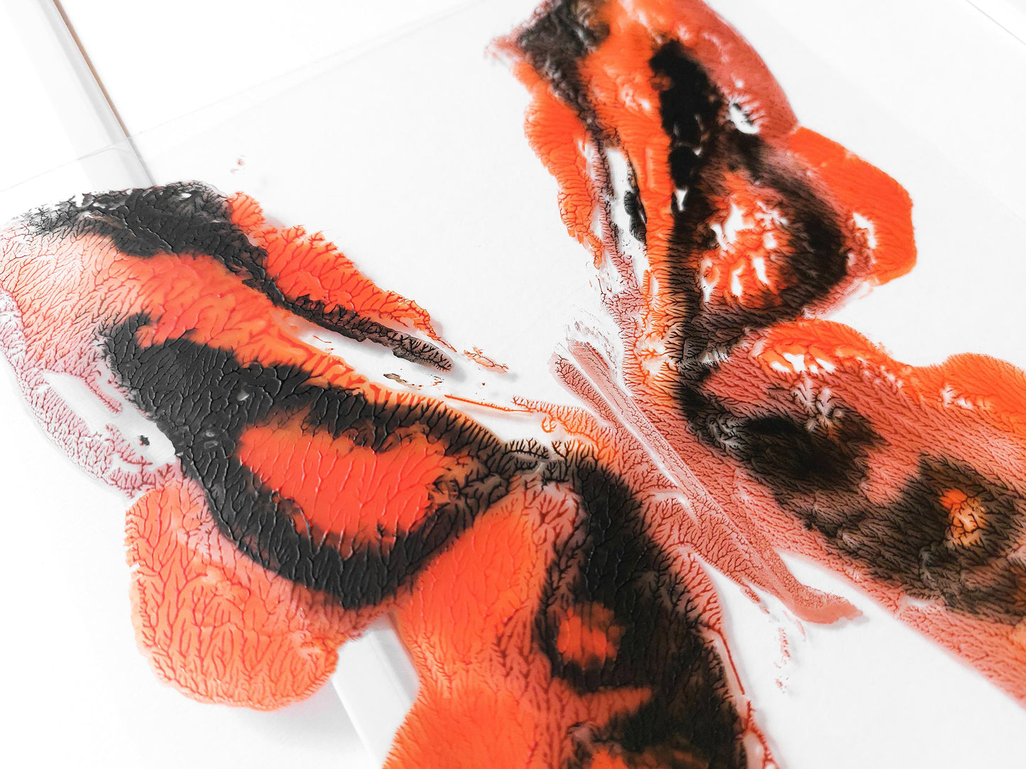 Details relief Red and black abstract moth Monotype print / printmaking