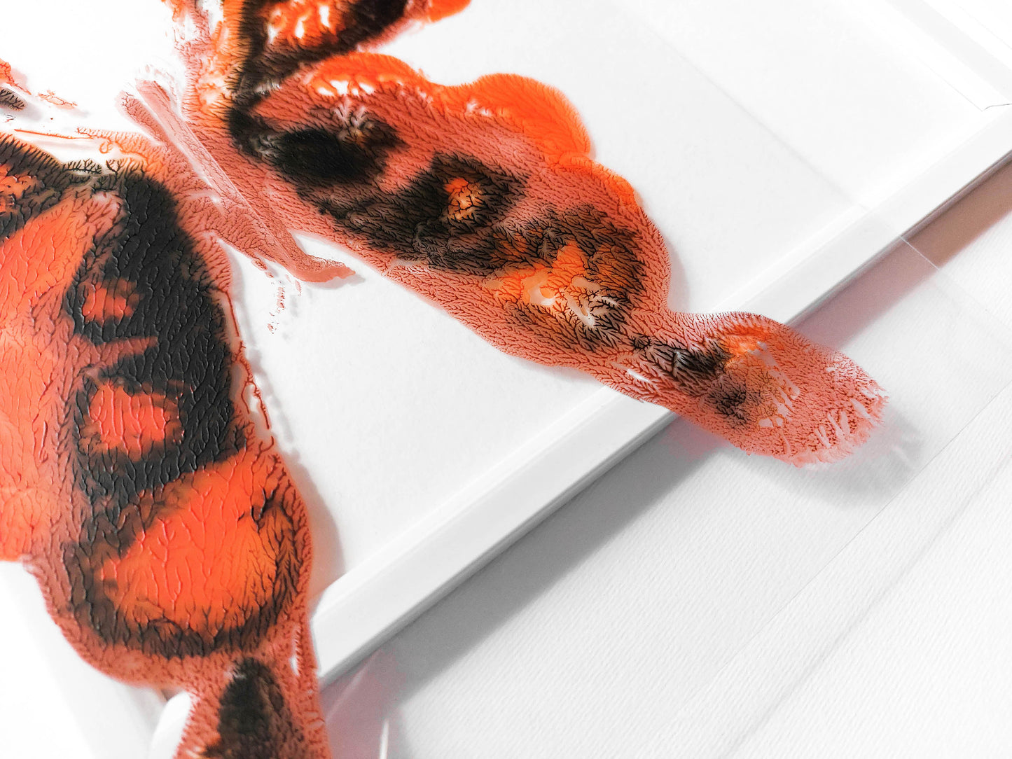Details relief Red and black abstract moth Monotype print / printmaking