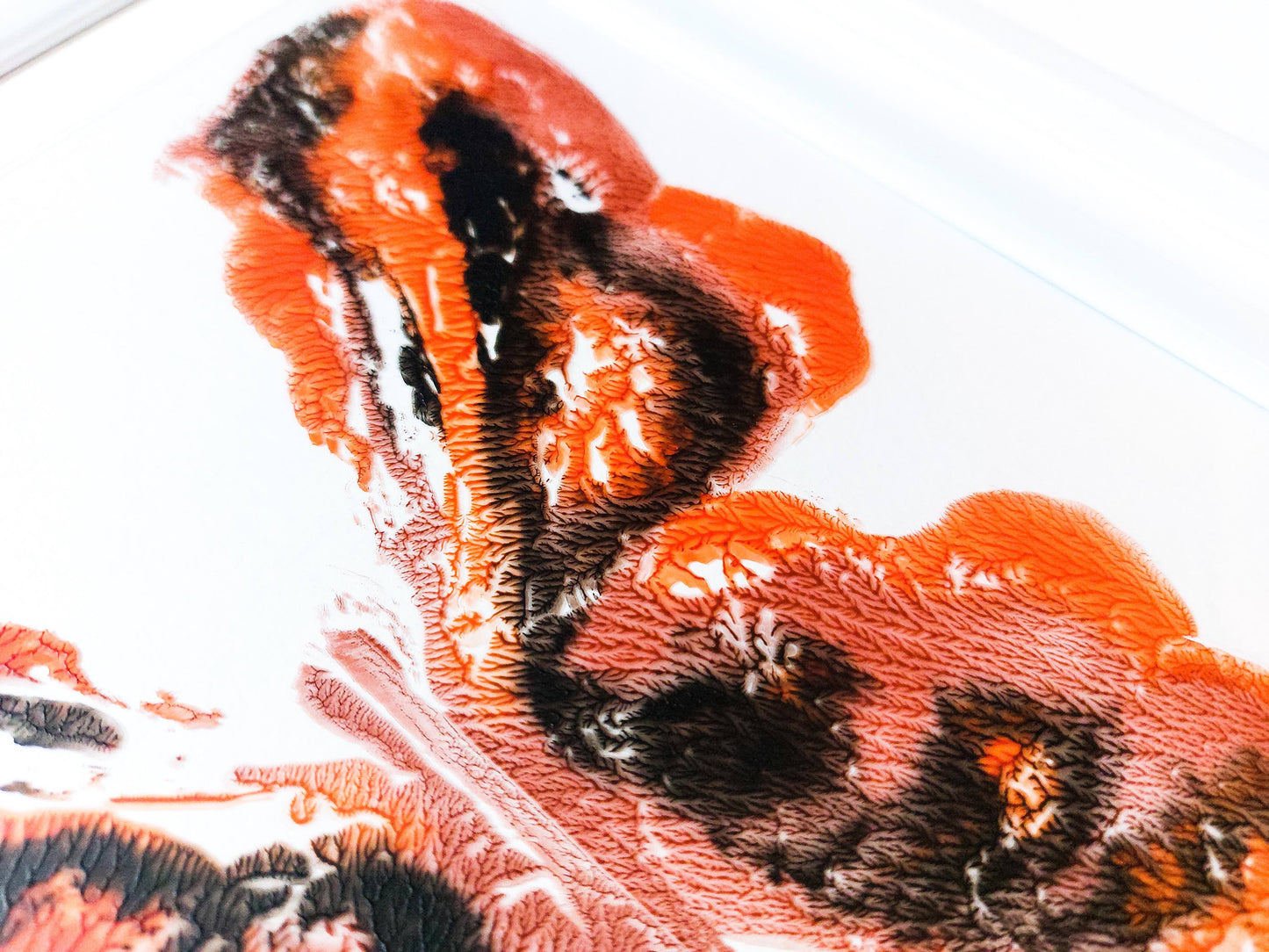 Details relief Red and black abstract moth Monotype print / printmaking