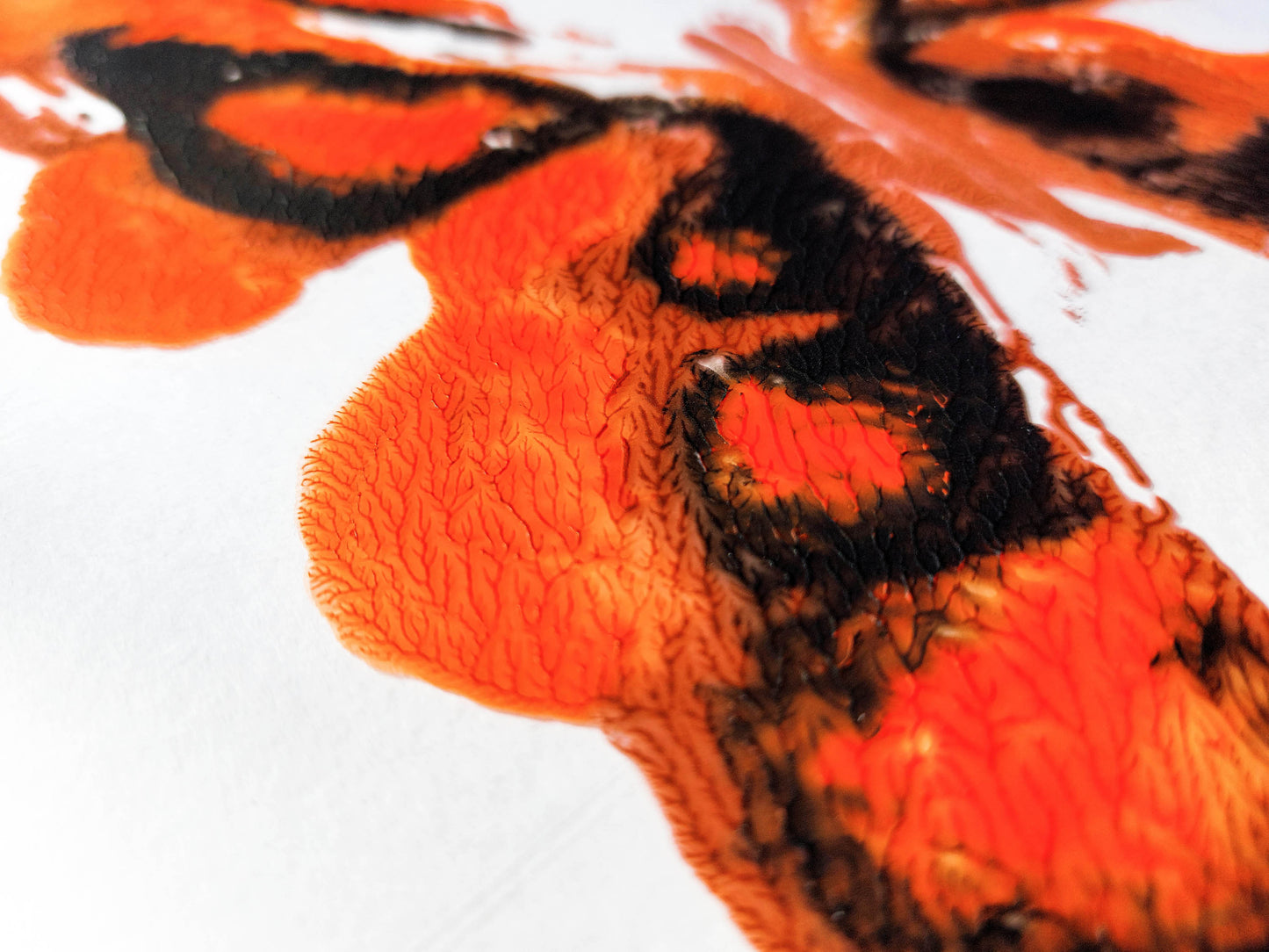 Details relief Red and black abstract moth Monotype print / printmaking