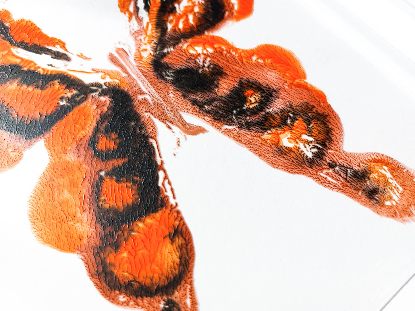 Details relief Red and black abstract moth Monotype print / printmaking