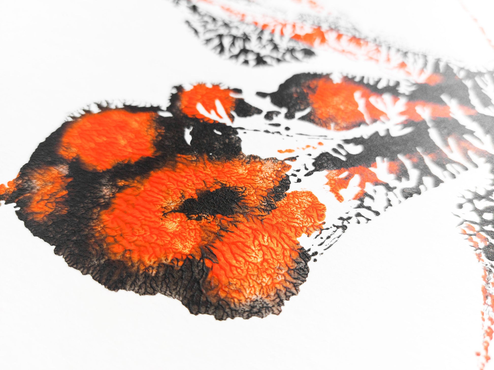 Details relief №4 - Red and black abstract butterfly Monotype print / printmaking