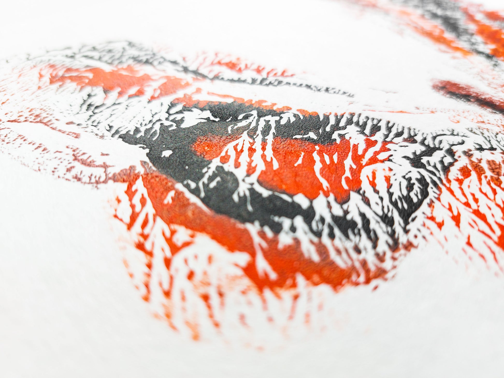 Details Red and black abstract butterfly Monotype print / printmaking acrylic print