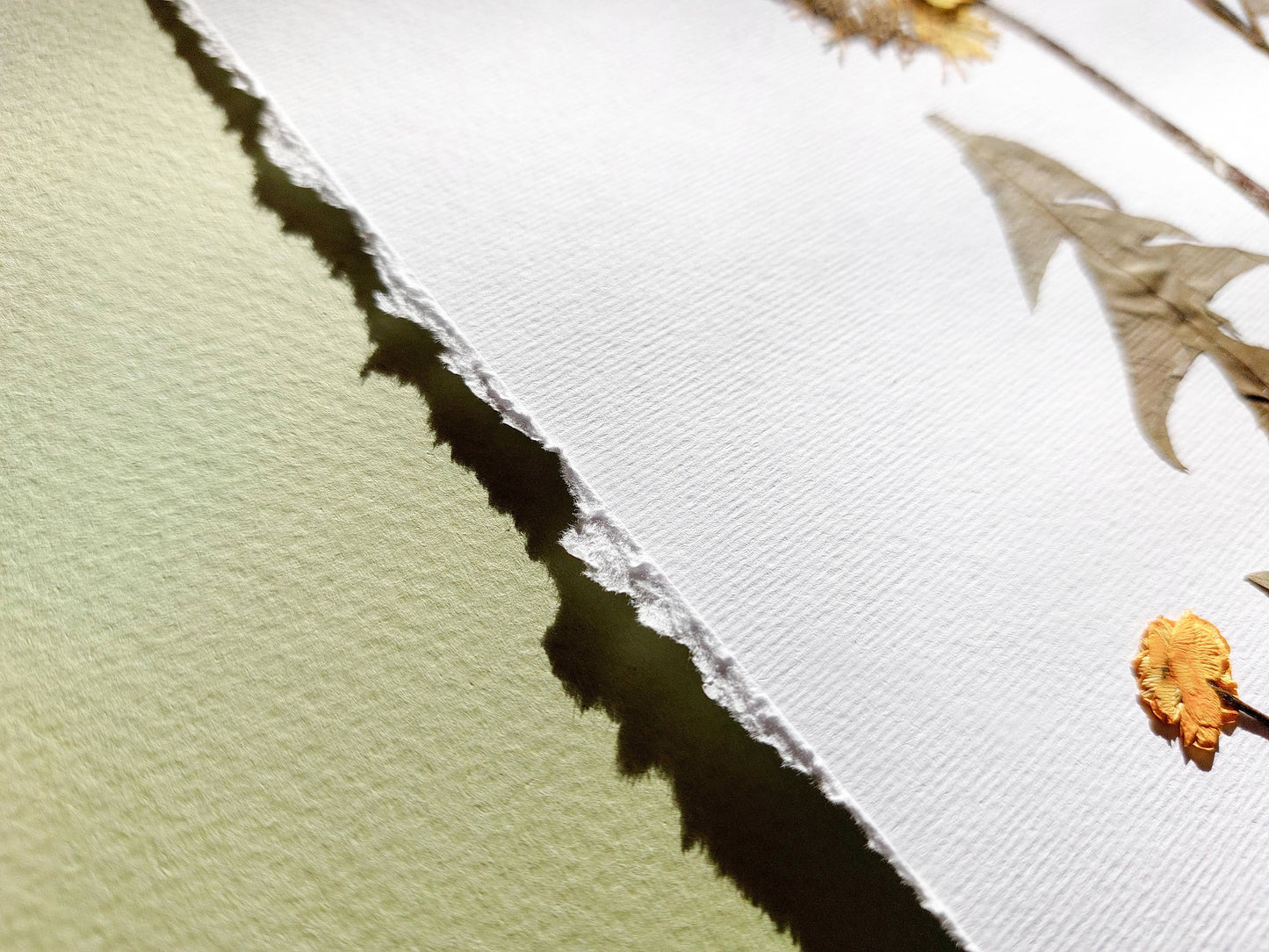Yellow pressed flower and dandelion green plant artwork / handmade art