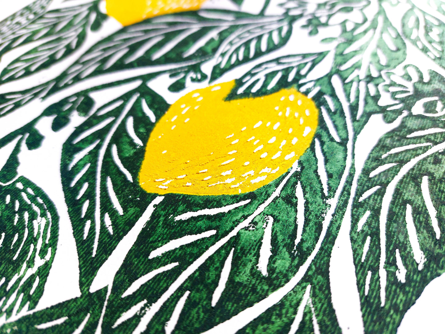 Gallery wall set of 2 linocut print Oranges and lemon botanical fruit and plant for modern kitchen wall art or Nature lover gift UNFRAMED / handmade art, relief print, original artwork, printmaking, oil ink, lino print, linogravure, fruit wall decor, living room, dining room, farmhouse gift, farm kitchen art, nature lover gift, new home gift, gallery wall set of 2 prints