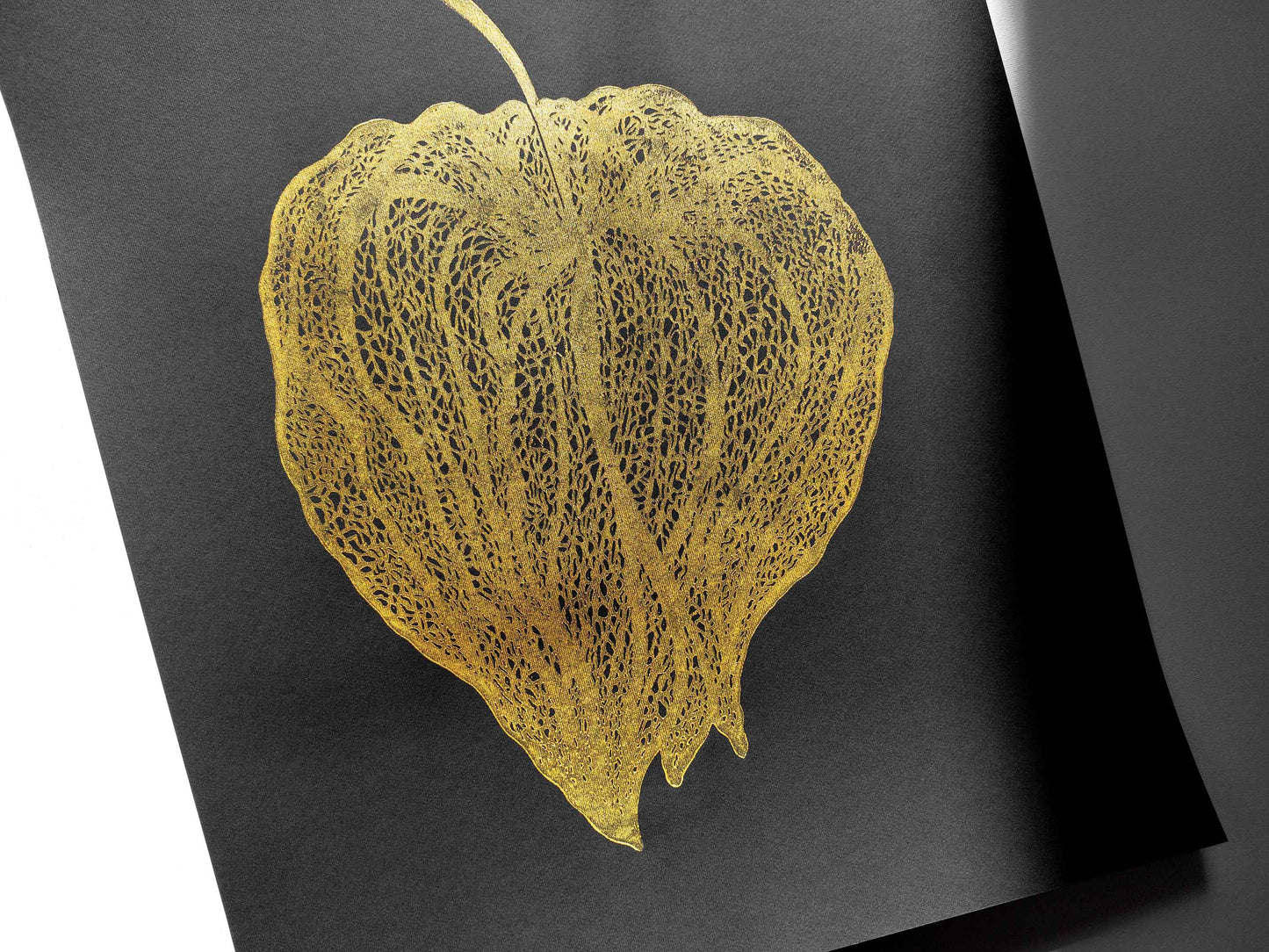 Black and gold Physalis plant Linocut print for New home gift UNFRAMED for living room or bedroom 20x16 in floral wall art Original artwork Classical art