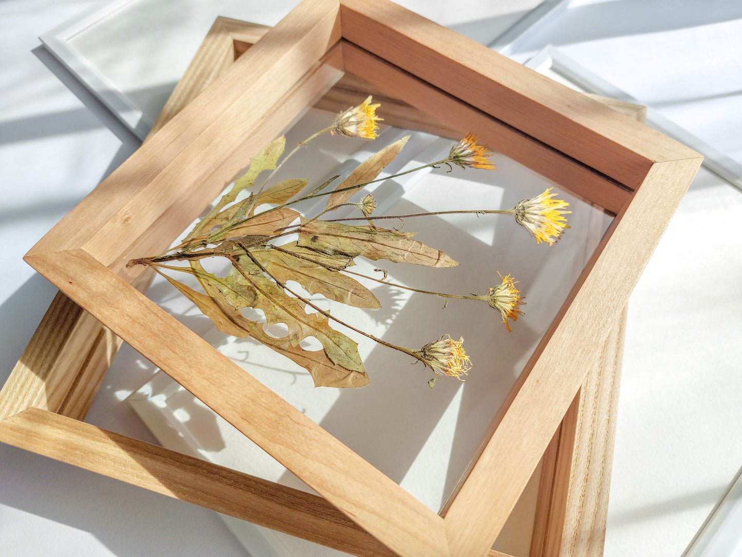 Real wild yellow pressed flower and plant artwork with wooden square frame for Nature lover gift
