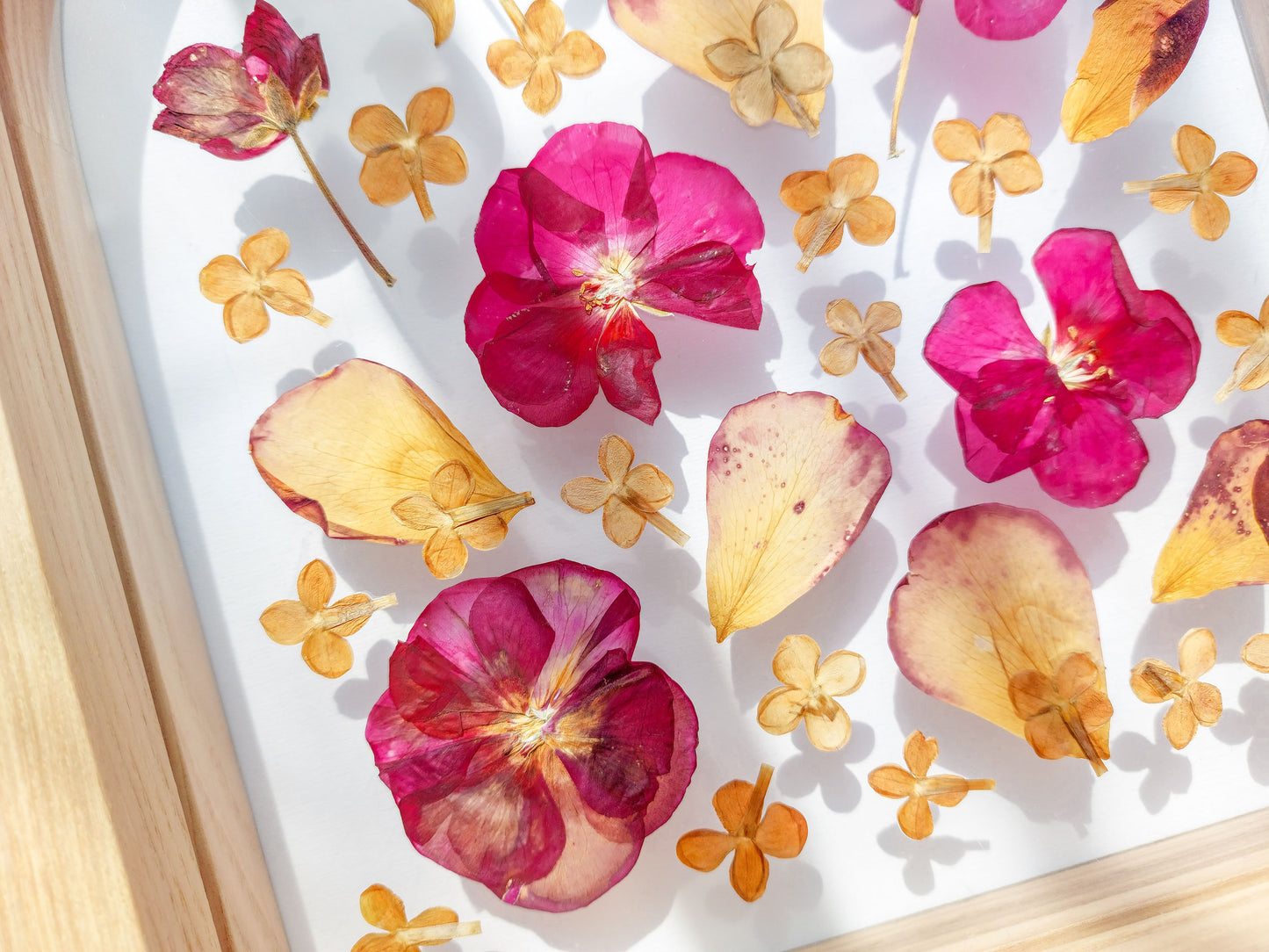 Details Pink and beige Geranium lilac pressed flower art rose petal on plexiglass with wooden arch frame