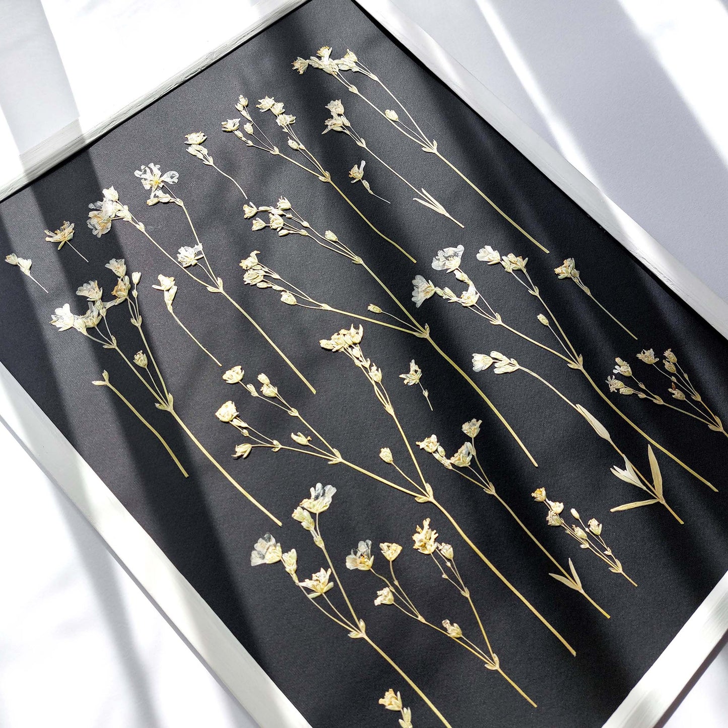Black paper Dried wildflowers Original artwork Cottagecore wall decor UNFRAMED new apartment housewarming gift, new apartment gift, nature wall art, Nature original art, nature lover gift, mothers day gift ideas, mothers day gift from daughter, mothers day gift, mother in law gift, mom birthday gift, Modern kitchen art, long distance gift, living room wall art minimalist, Living room wall art, laundry room decor, kitchen wall art