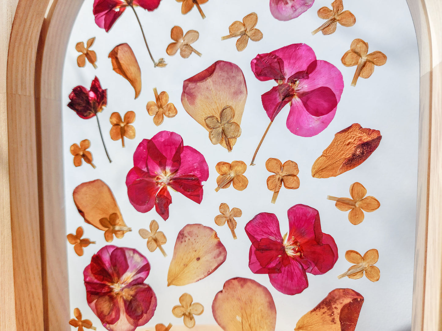Details Pink and beige Geranium lilac pressed flower art rose petal on plexiglass with wooden arch frame