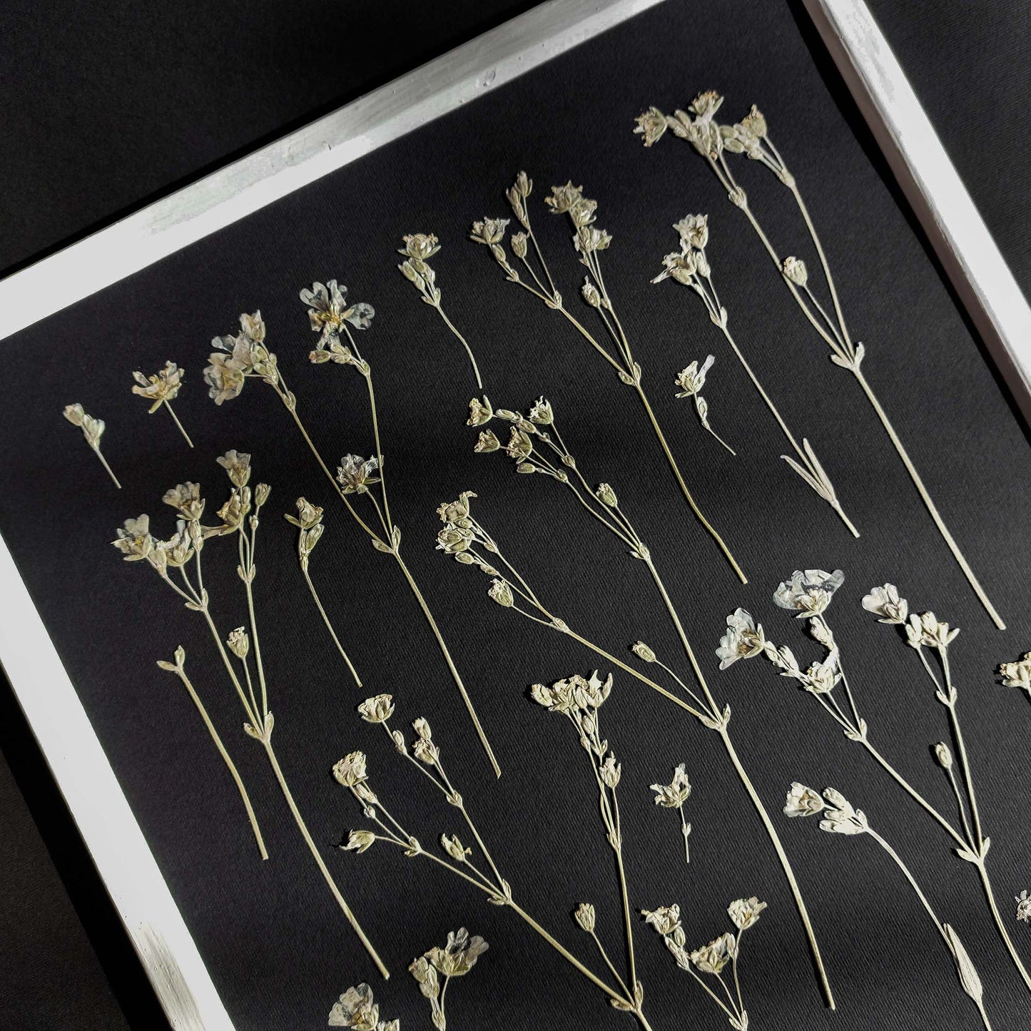 Black paper Dried wildflowers Original artwork Cottagecore wall decor UNFRAMED Farmhouse wall decor, farm kitchen wall art, farm decor, easter gift, dried pressed flower art, dried flowers, dried botanical art, dorm room decor, diy gift, Dining Room Decor, daughter in law gift, cottagecore wall art, Botanical wall art, bookshelf decor, Bedroom wall art, aunt gift, Aesthetic wall art, office wall decor