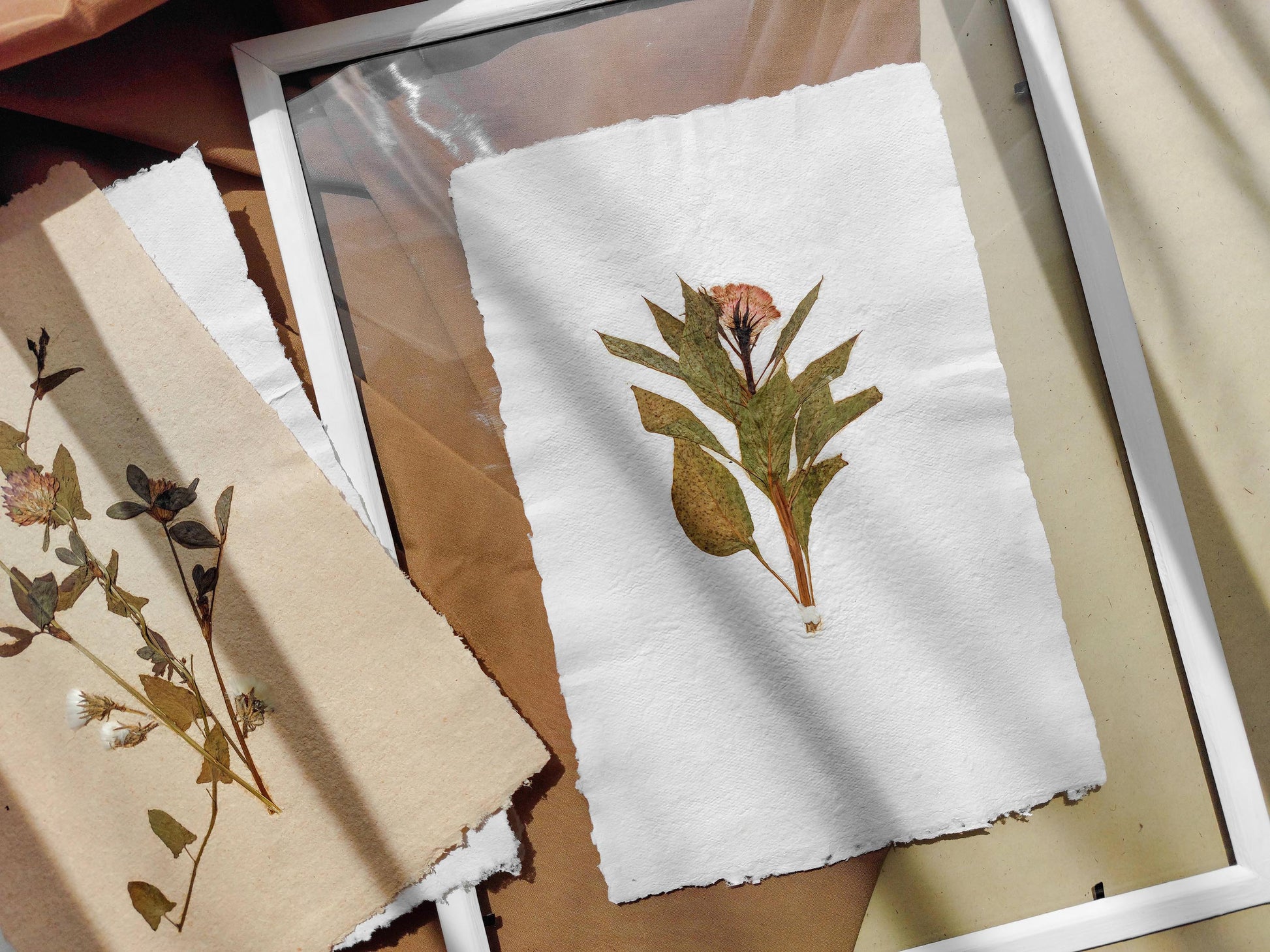 Herbarium IX Cockerel pressed flower green plant Recycled paper for living room wall art UNFRAMED in summer vibe