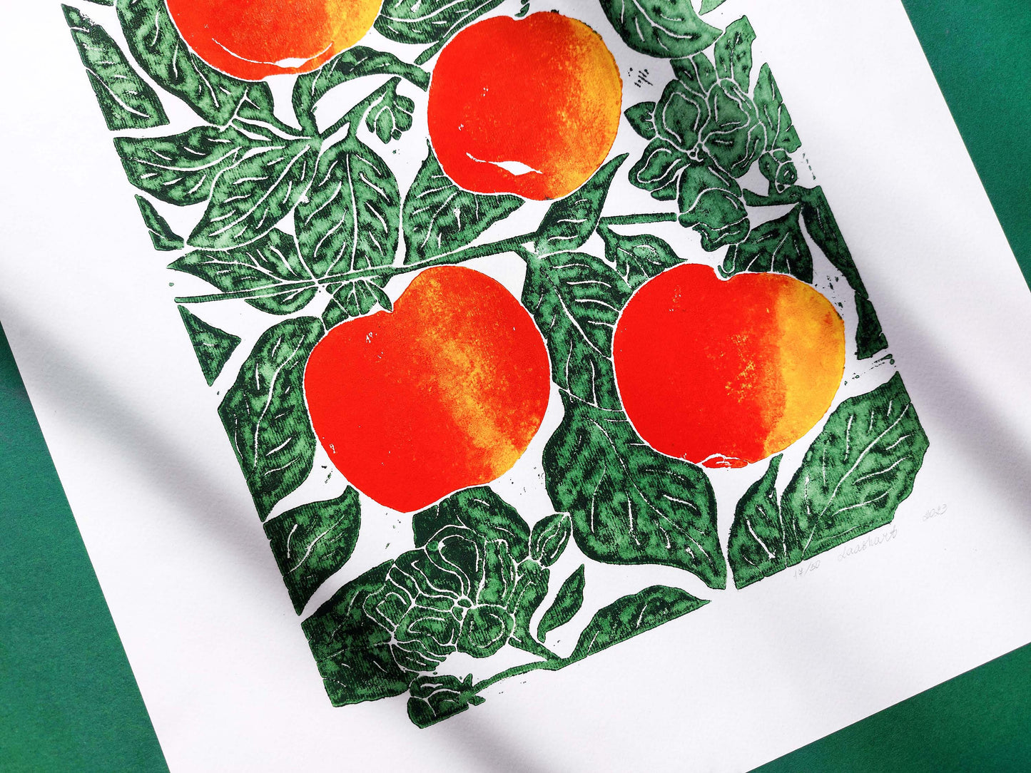 Apple linocut print / Original artwork Botanical fruit for modern kitchen wall art or Nature lover gift UNFRAMED / lino print, linogravure, original artwork, botanical floral wall art, printmaking, relief print, Red yellow and green art block print, new home gift, kitchen, dining room, bedroom, living room