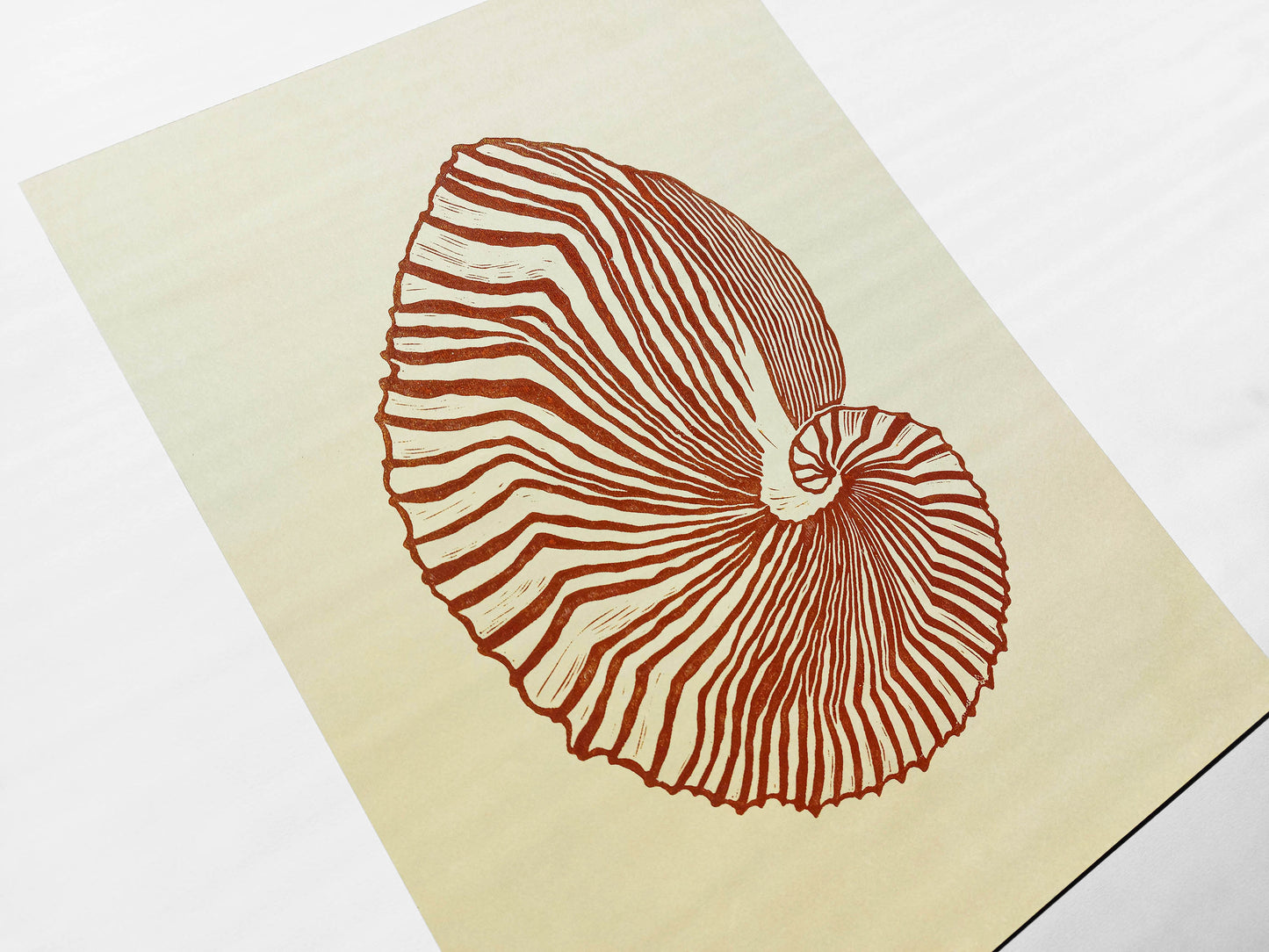 Beige and brown sea shell art Linocut print art for Bedroom or bathroom wall decor UNFRAMED / living room wall adecor for New home gift, houswarming gift, nature lover gift, Nautical wall decor, Simple artwork, Hampton style decor, Coastal wall art