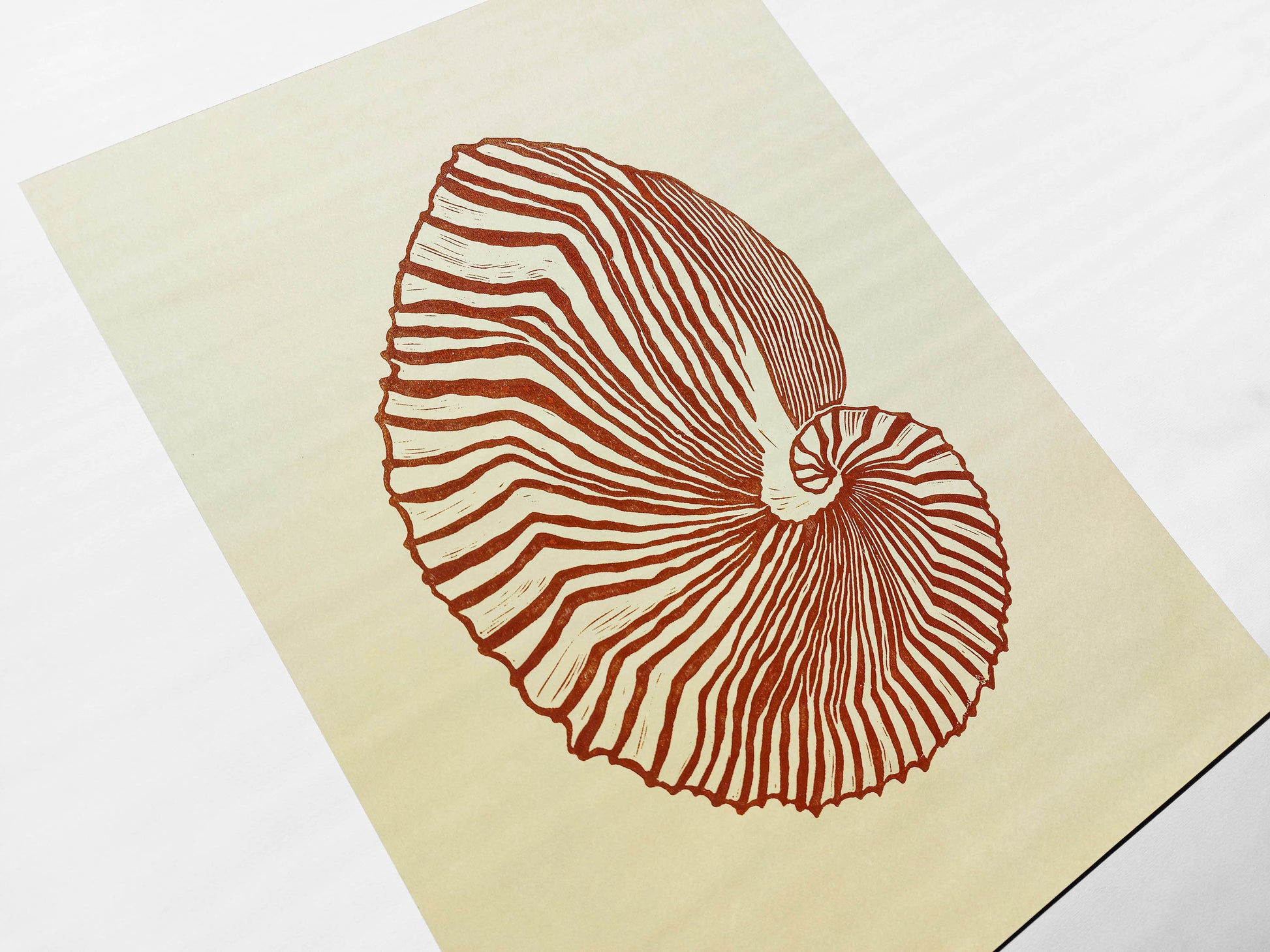 Beige and brown sea shell art Linocut print art for Bedroom or bathroom wall decor UNFRAMED / living room wall adecor for New home gift, houswarming gift, nature lover gift, Nautical wall decor, Simple artwork, Hampton style decor, Coastal wall art