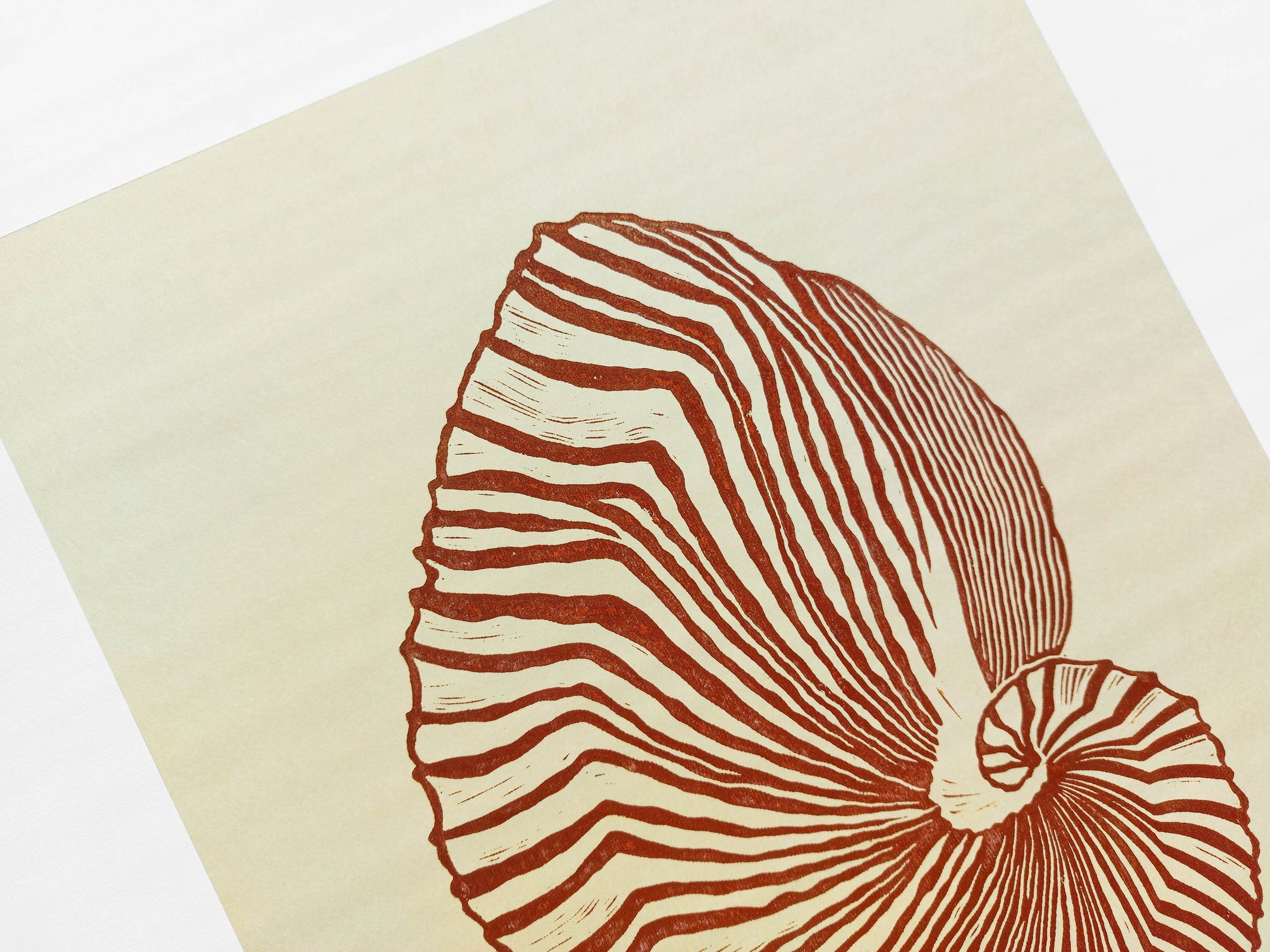Beige and brown sea shell art Linocut print / printmaking / original artwork / lino print / linogravure / relief print / block print