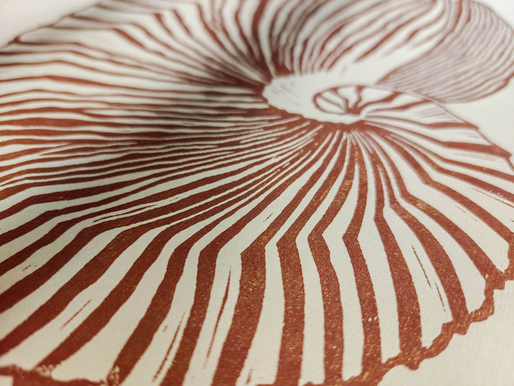 Beige and brown sea shell art Linocut print / printmaking / original artwork / lino print / linogravure / relief print / block print