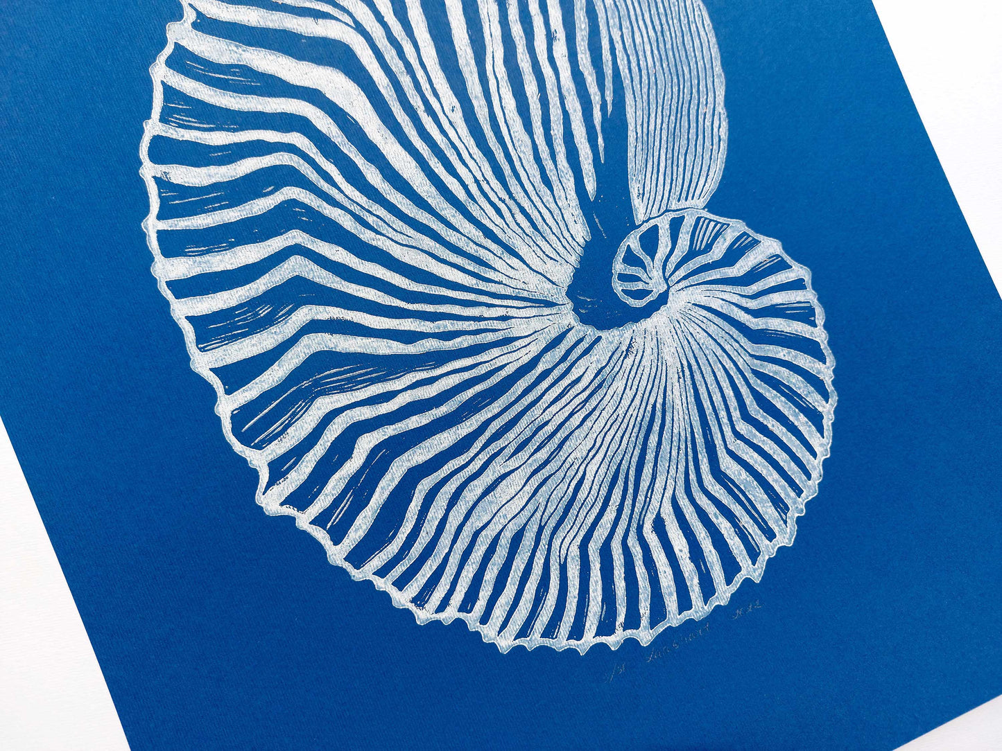 Blue and white sea shell art Linocut print / printmaking / original artwork / lino print / linogravure / relief print / block print