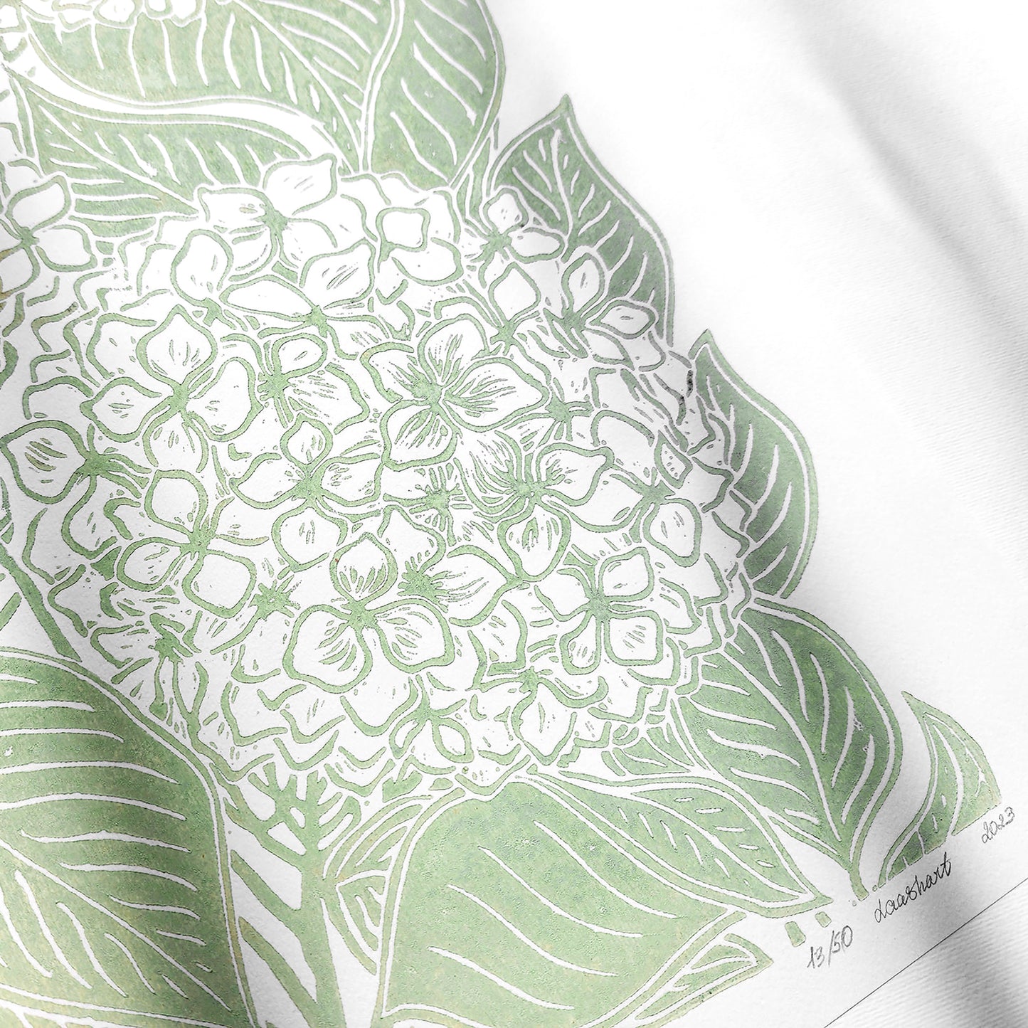 Lime cream hydrangea flowers Linocut print Wall hanging art decor